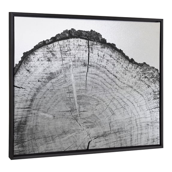 Kate and Laurel Sylvie Tree Rings BW Framed Metallic Canvas Wall Art by Emiko and Mark Franzen of F2Images, 28x38 Black, Black and White Tree Rings Art for Wall