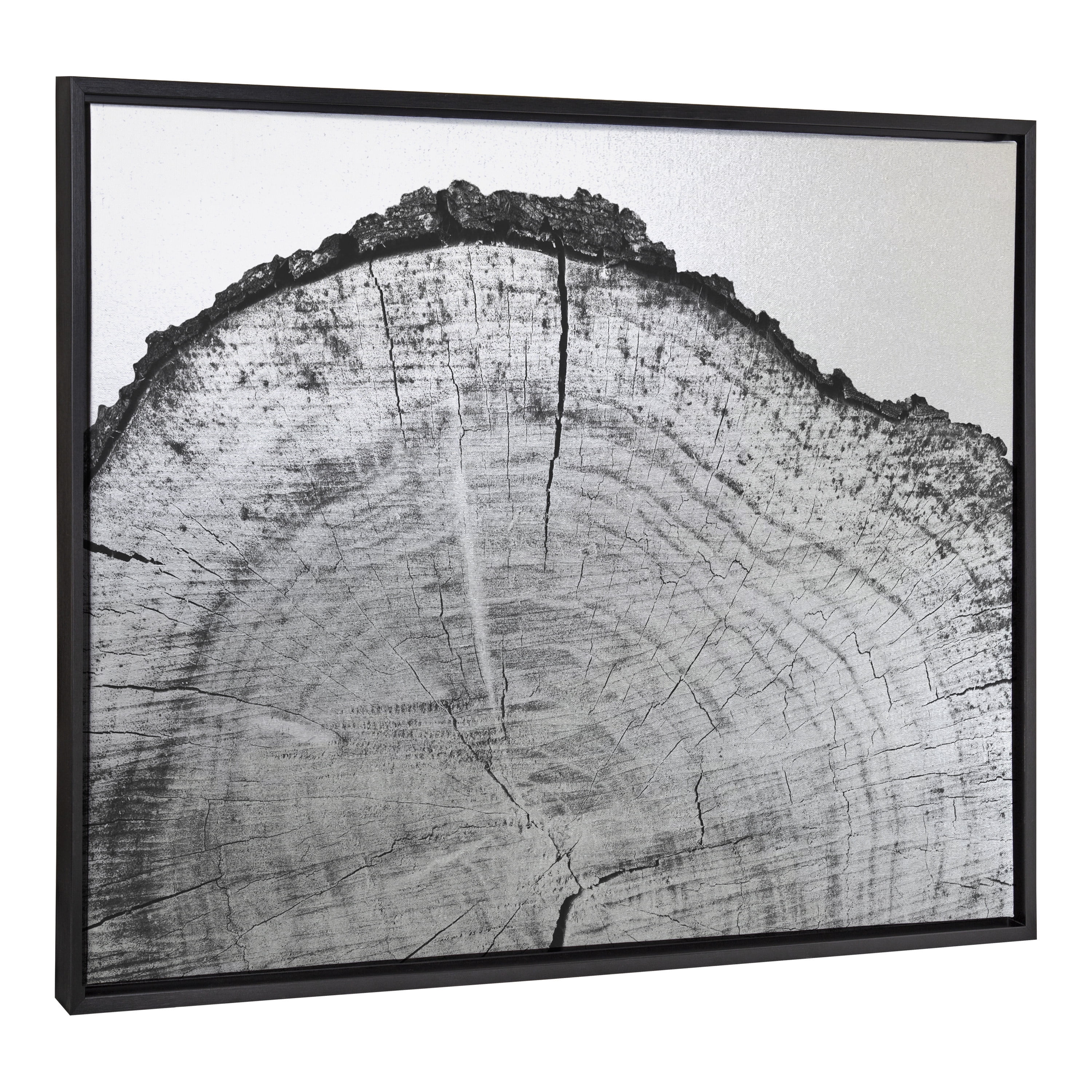 Sylvie Black and White Tree Rings Metallic Canvas Wall Art, 28x38
