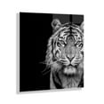 thumbnail image 1 of Kate and Laurel Tiger Minimalist Animal Portrait Black and White Floating Acrylic Art by The Creative Bunch Studio, 23x23, Decorative Animal Art for Wall, 1 of 9