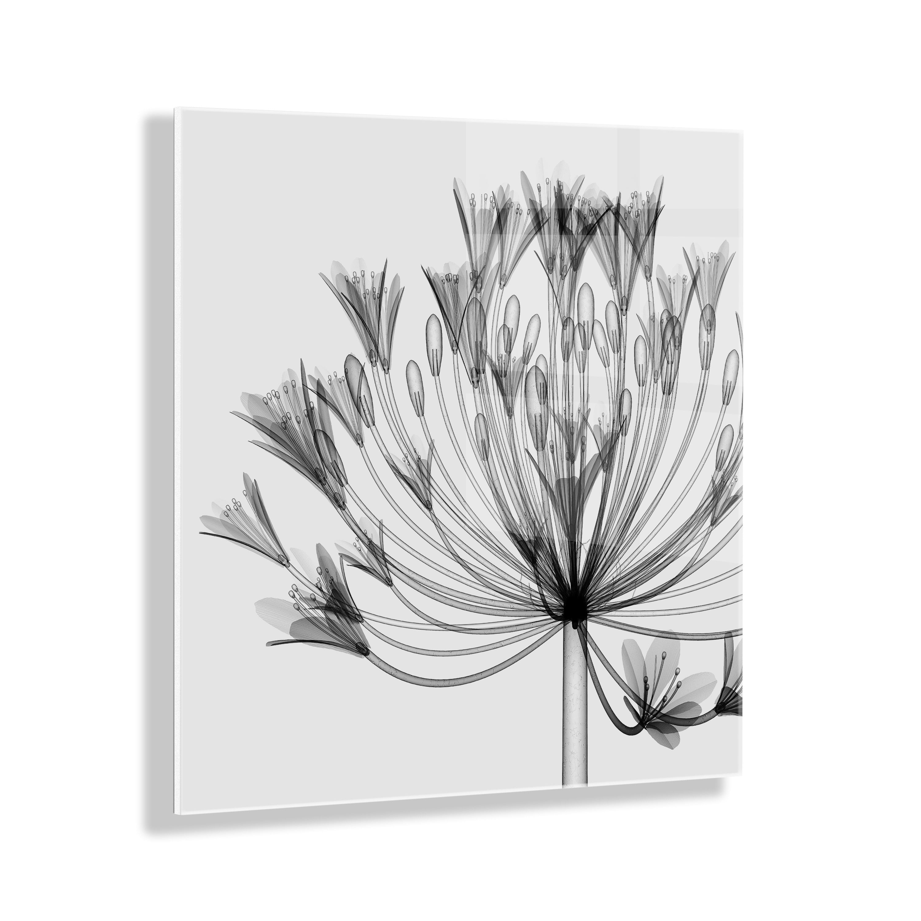 Black And White Decorative Art Sketch, Size: 45x50