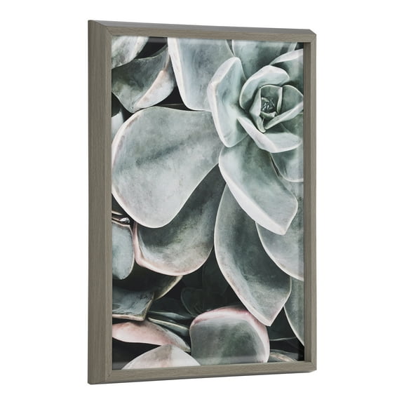 Kate and Laurel Blake Botanical Succulent Plant Framed Printed Glass Wall Art by The Creative Bunch Studio, 18x24 Gray, Succulent Art for Wall