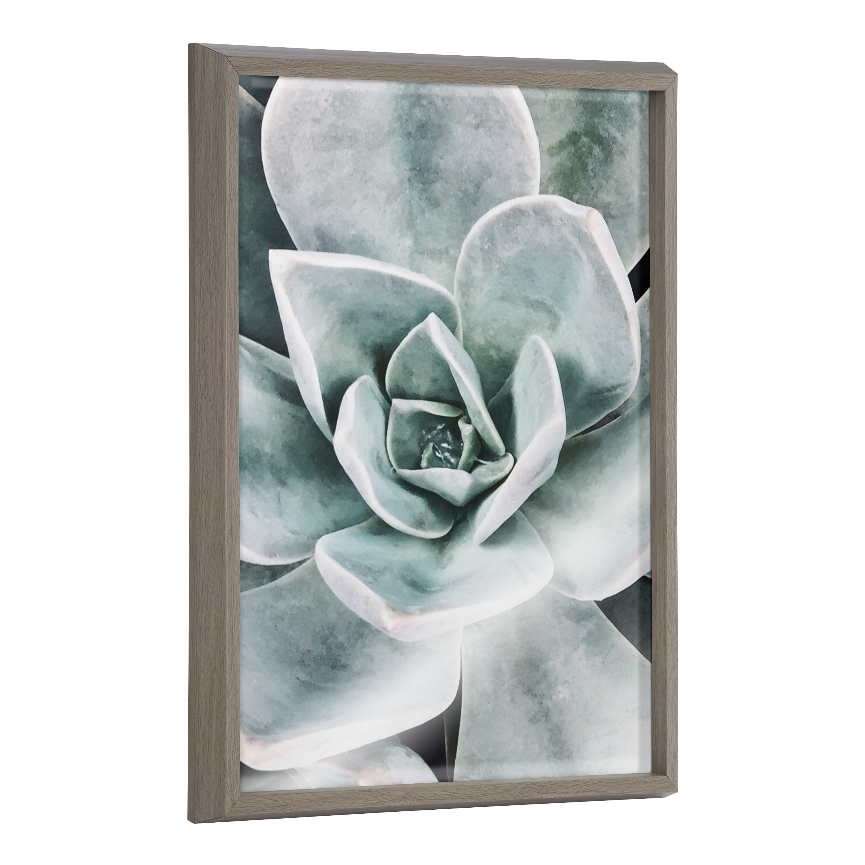 Gray Framed Botanical Succulent Plants Canvas Set
