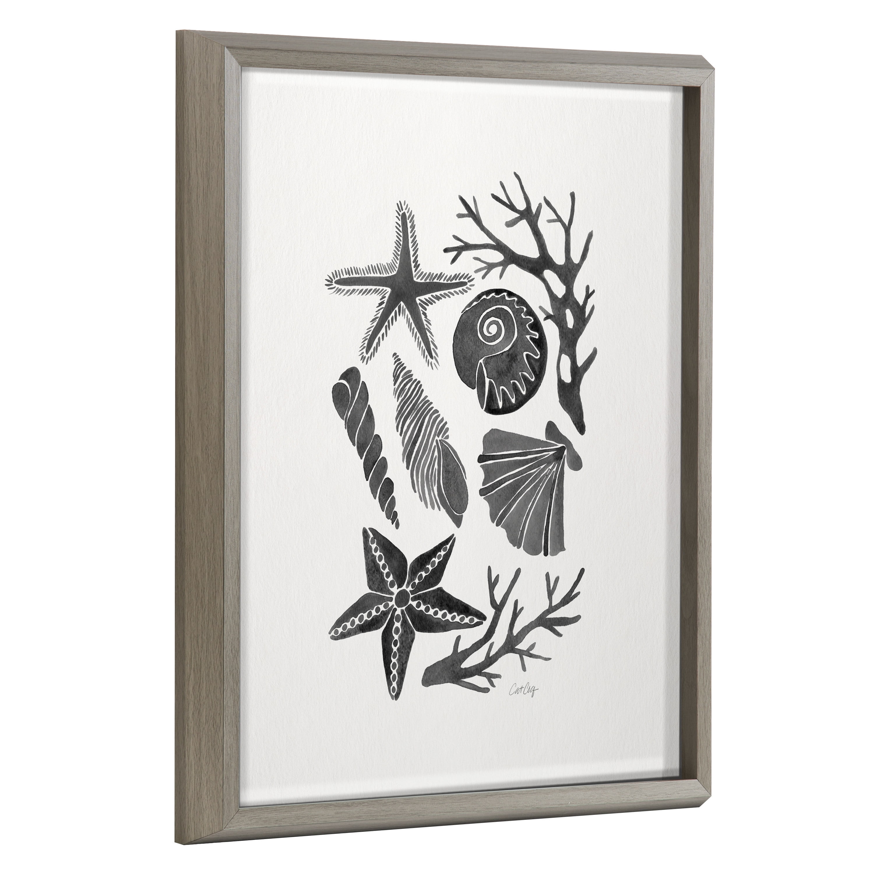 Gray Framed Black Seashells Printed Glass Coastal Wall Art, 16x20