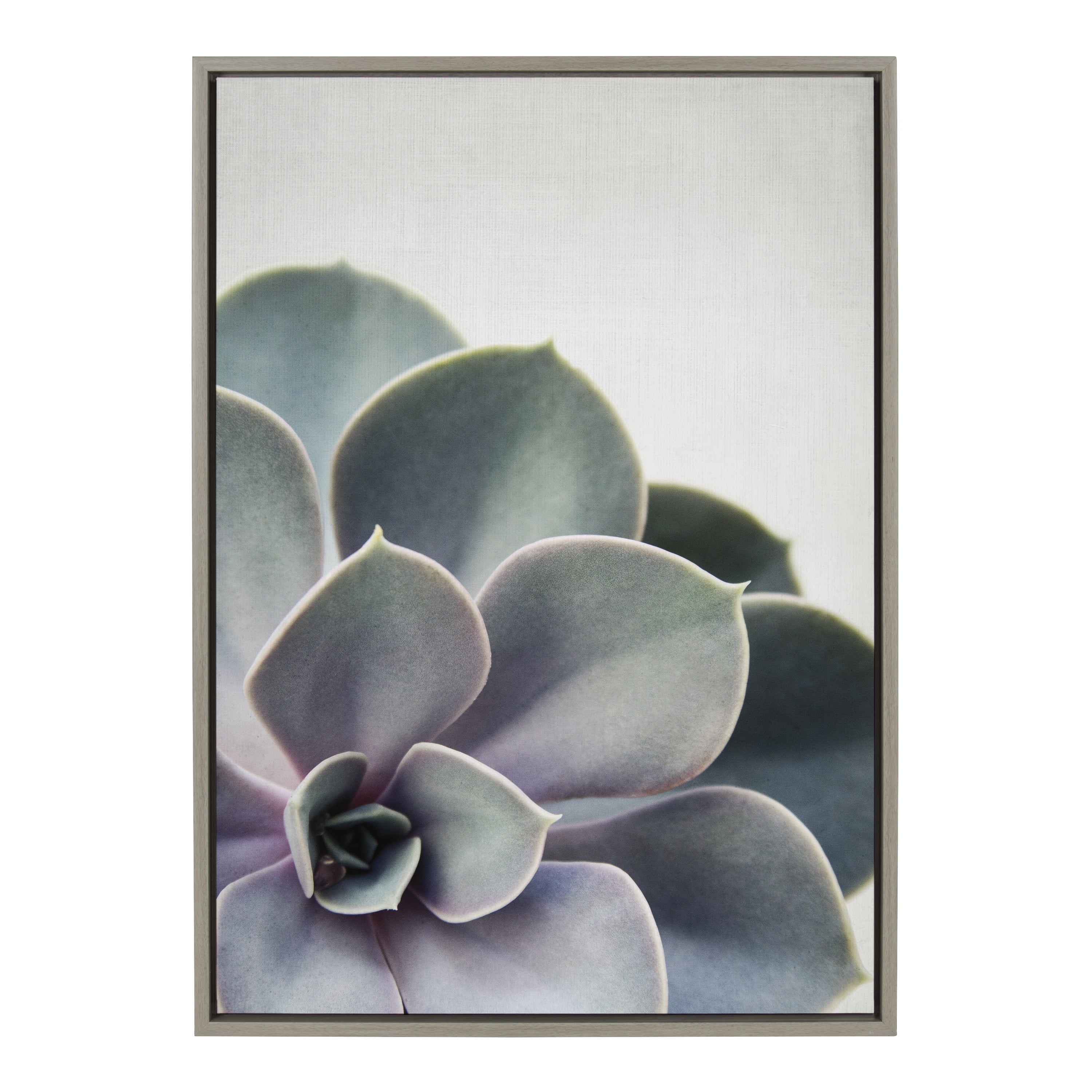 Gray and Green Succulent Framed Canvas Print, 23" x 33"