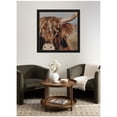 thumbnail image 1 of Kate and Laurel Framed Wall Art Print Nosy Highland by Laura Evans, 36 x 36, Manhattan Black Frame, Rustic Farmhouse, Animal Art for Wall Decor, 1 of 8