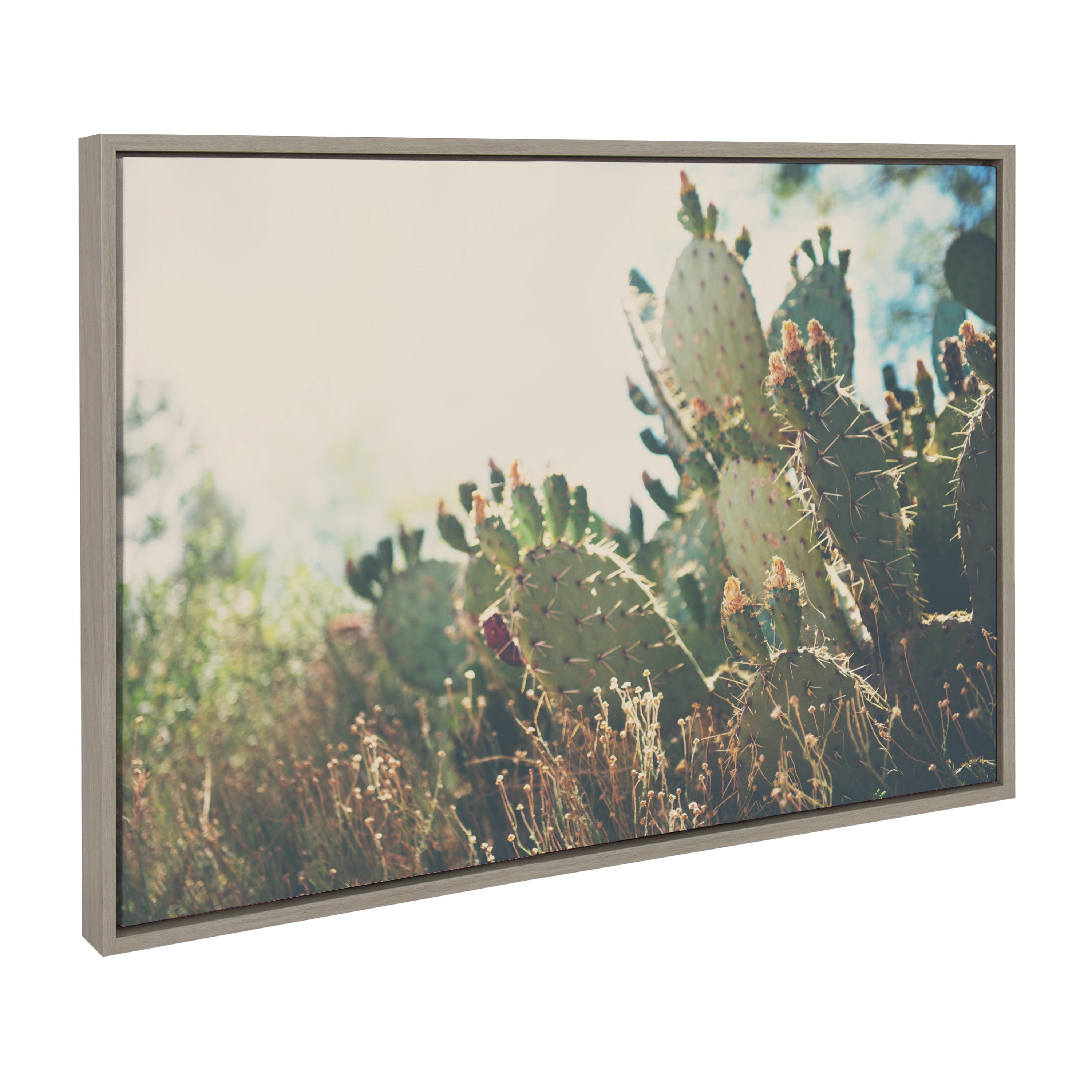 Gray Framed Desert Prickly Pear Cactus Canvas Wall Art
