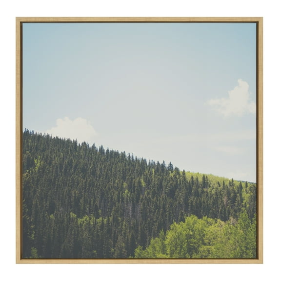 Kate and Laurel Sylvie Above the Tree Line Framed Canvas Wall Art by Laura Evans, 30x30 Natural, Decorative Forest Landscape Art for Wall