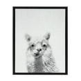 thumbnail image 1 of Kate and Laurel Sylvie Alpaca Black and White Portrait Framed Canvas Wall Art by Simon Te Tai, 18x24 Black, 1 of 8