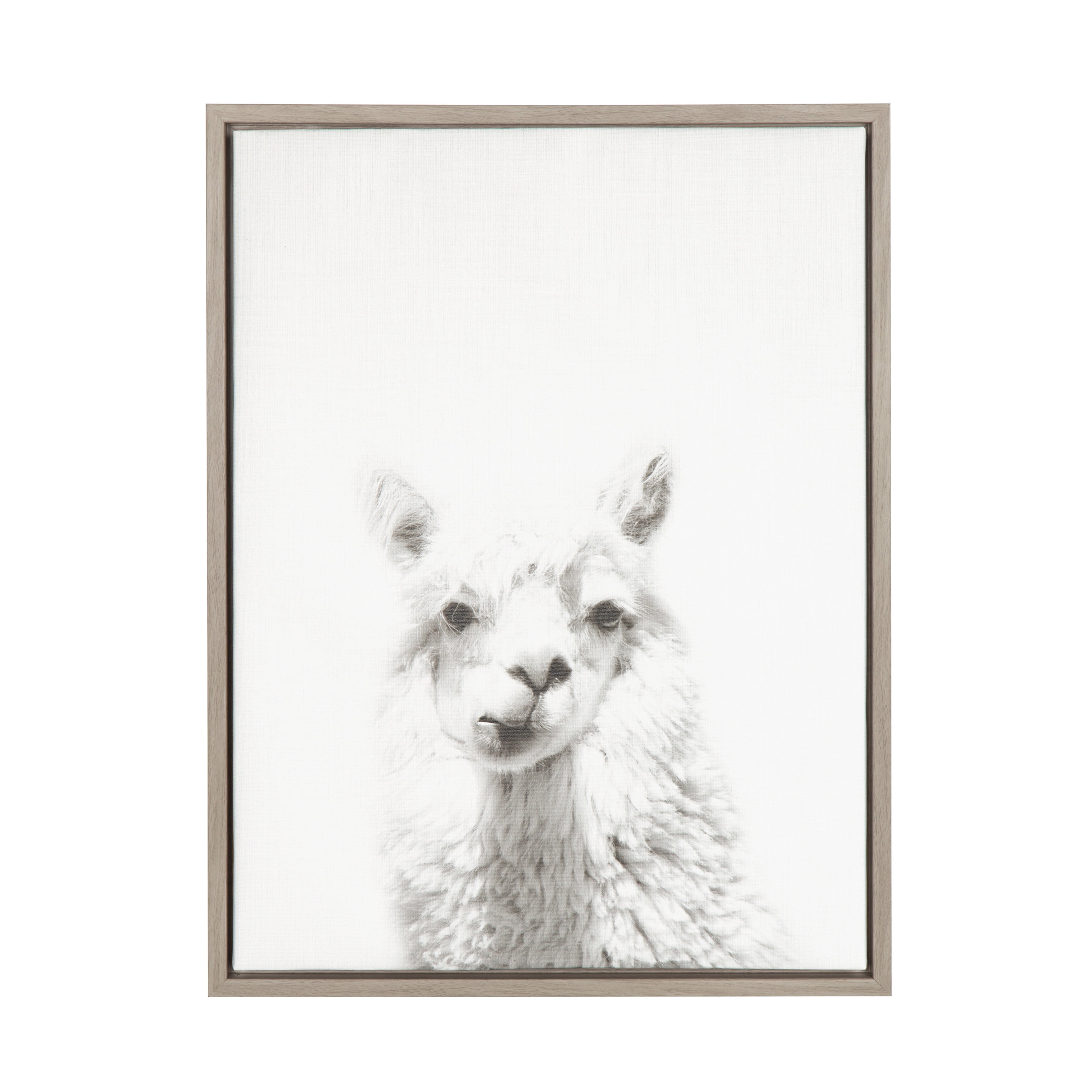 Kate and Laurel Sylvie Alpaca Black and White Portrait Framed Canvas Wall  Art by Simon Te Tai, 18x24 Gray