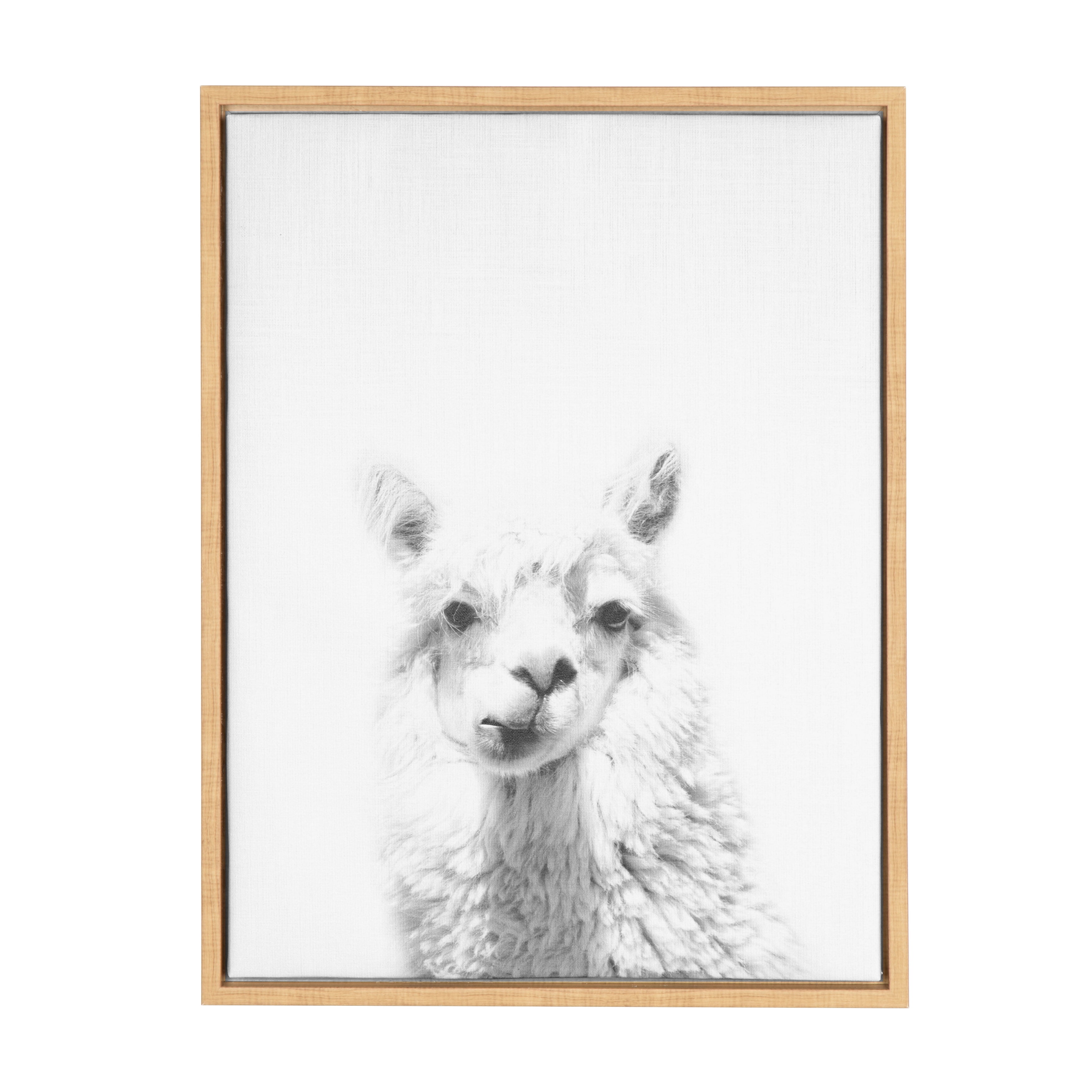 Kate and Laurel Sylvie Alpaca Black and White Portrait Framed Canvas Wall  Art by Simon Te Tai, 18x24 Natural