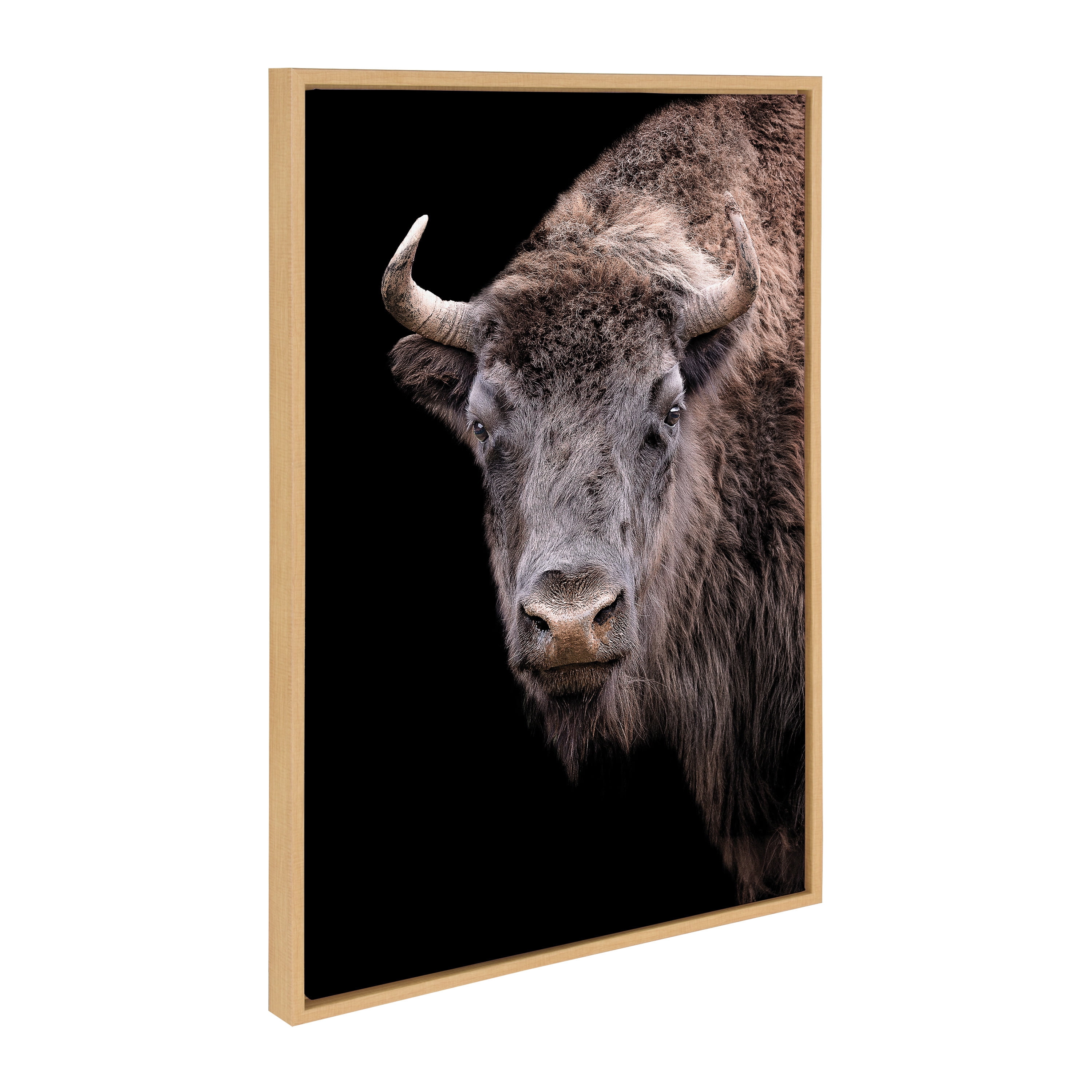 Natural Framed American Bison Canvas Wall Art, 23x33