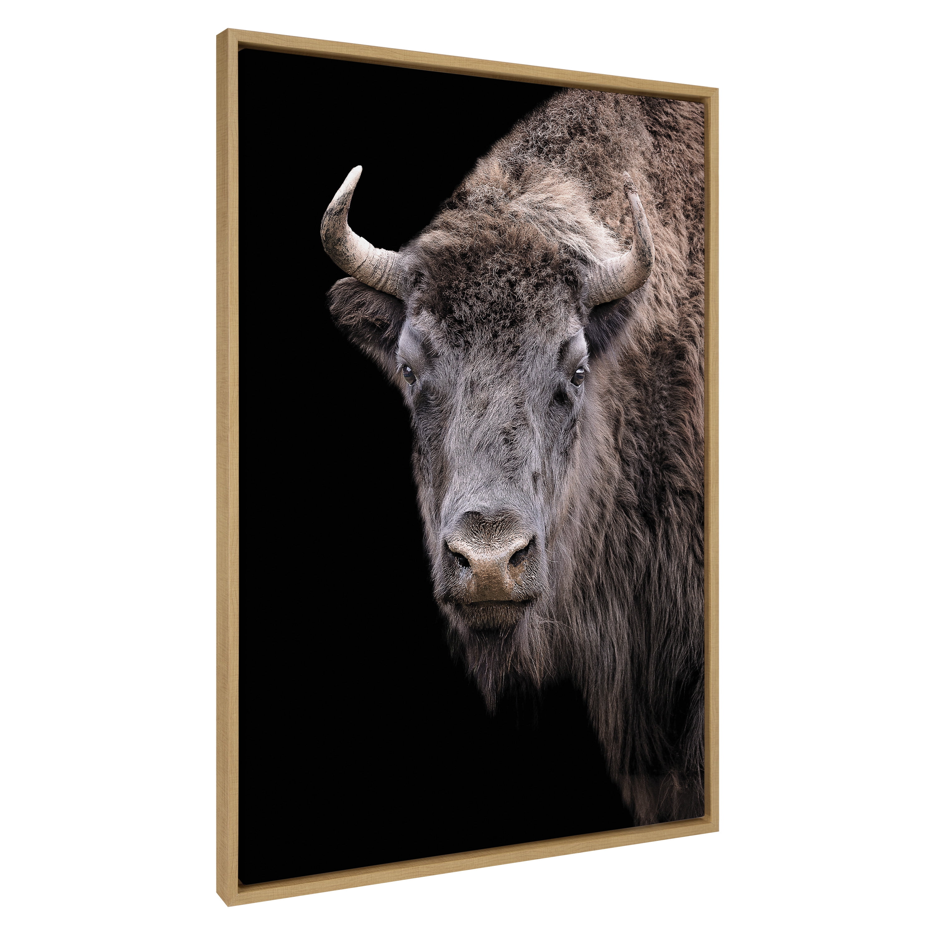 Natural Wood Framed American Bison Canvas Print, 31.5" x 42"
