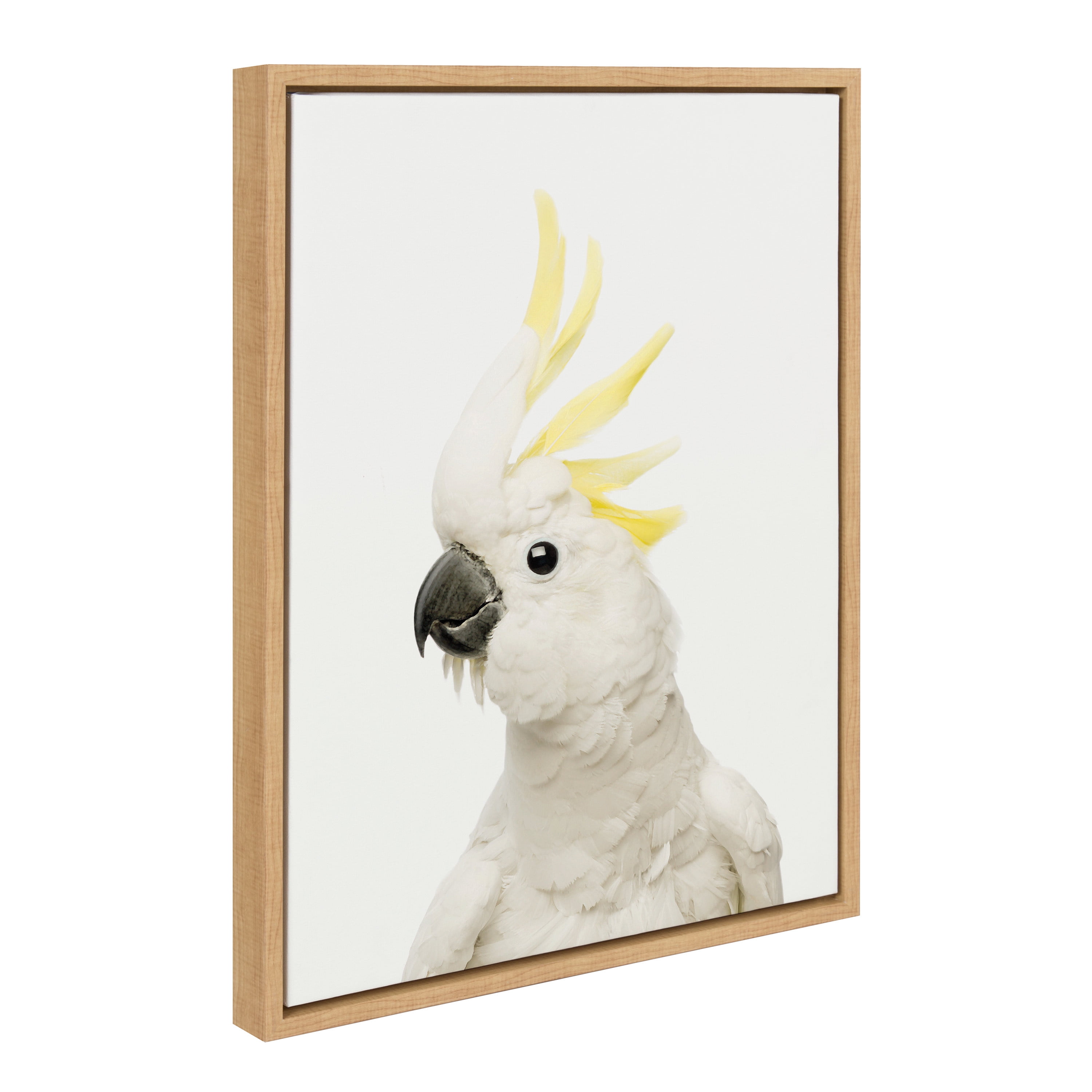18" x 24" Natural Wood Framed Cockatoo Canvas Art