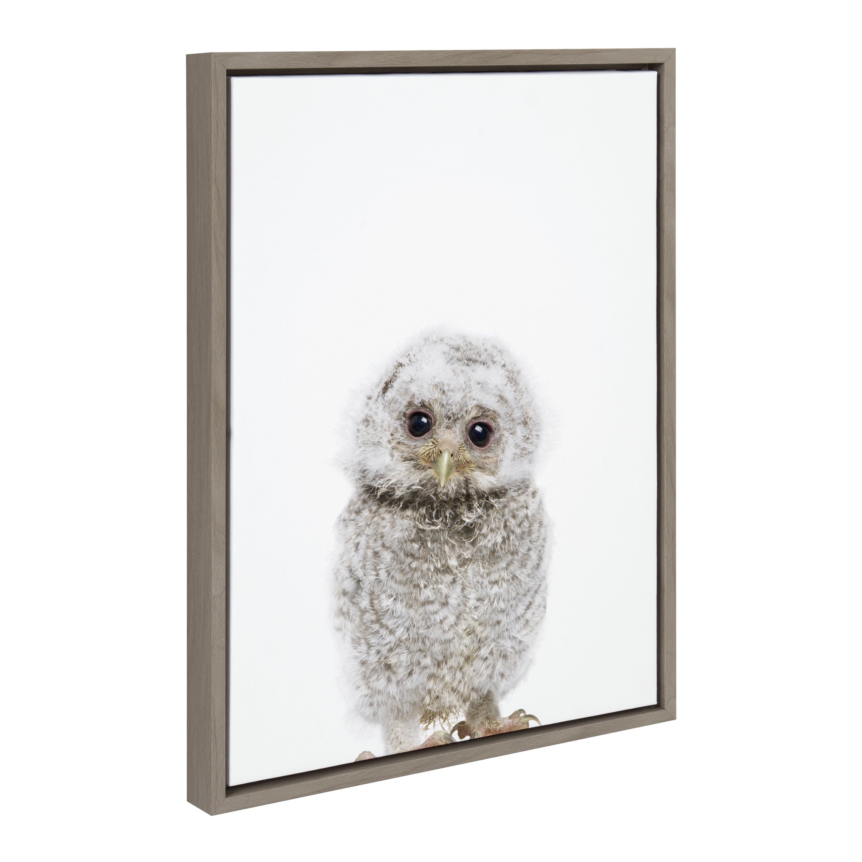 Kate and Laurel Sylvie Animal Studio Owl Framed Canvas Wall Art by Amy ...