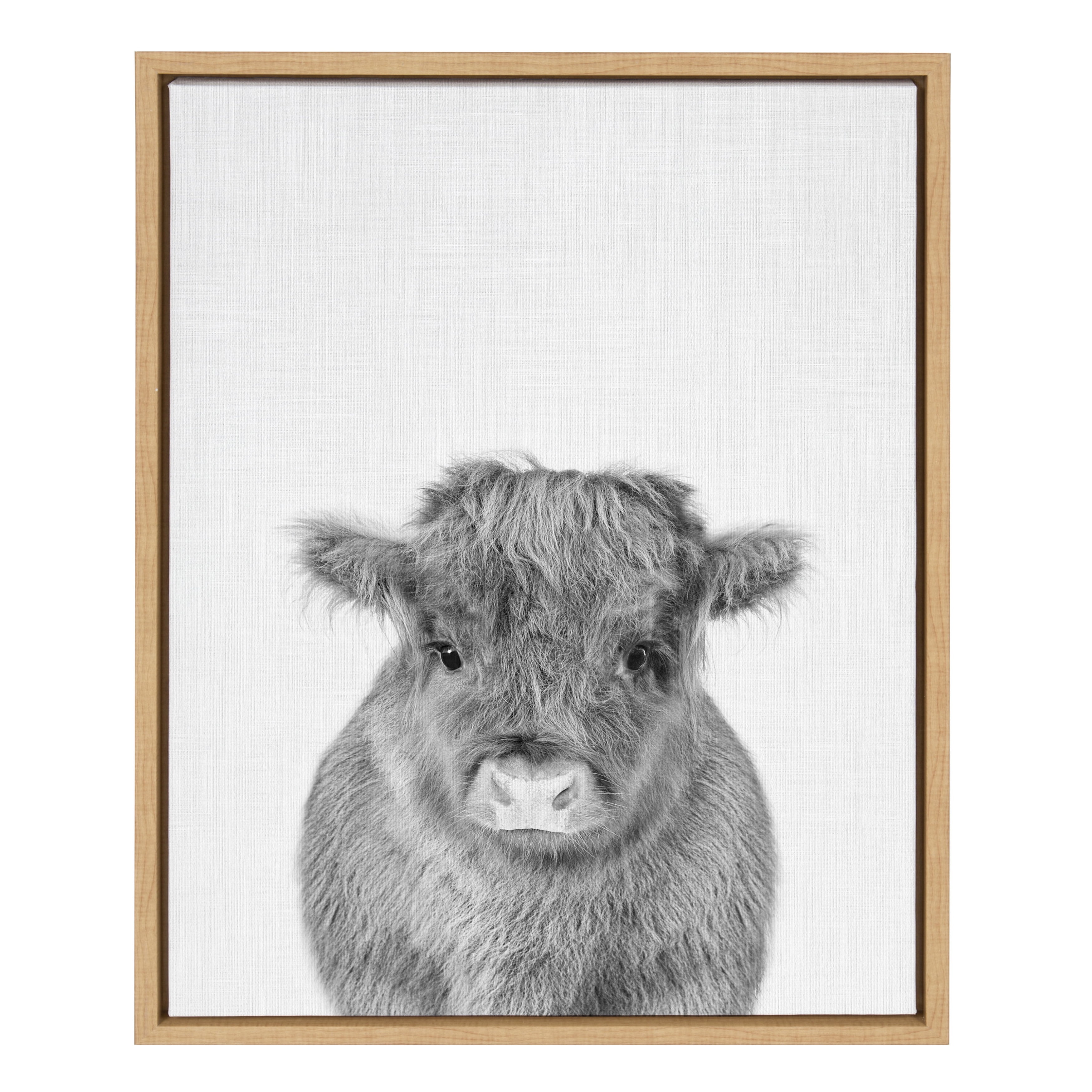 Natural Wood Framed Black and White Baby Calf Canvas Print