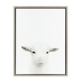 thumbnail image 1 of Kate and Laurel Sylvie Baby Goat Black and White Portrait Framed Canvas Wall Art by Simon Te Tai, 18x24 Gray, 1 of 6