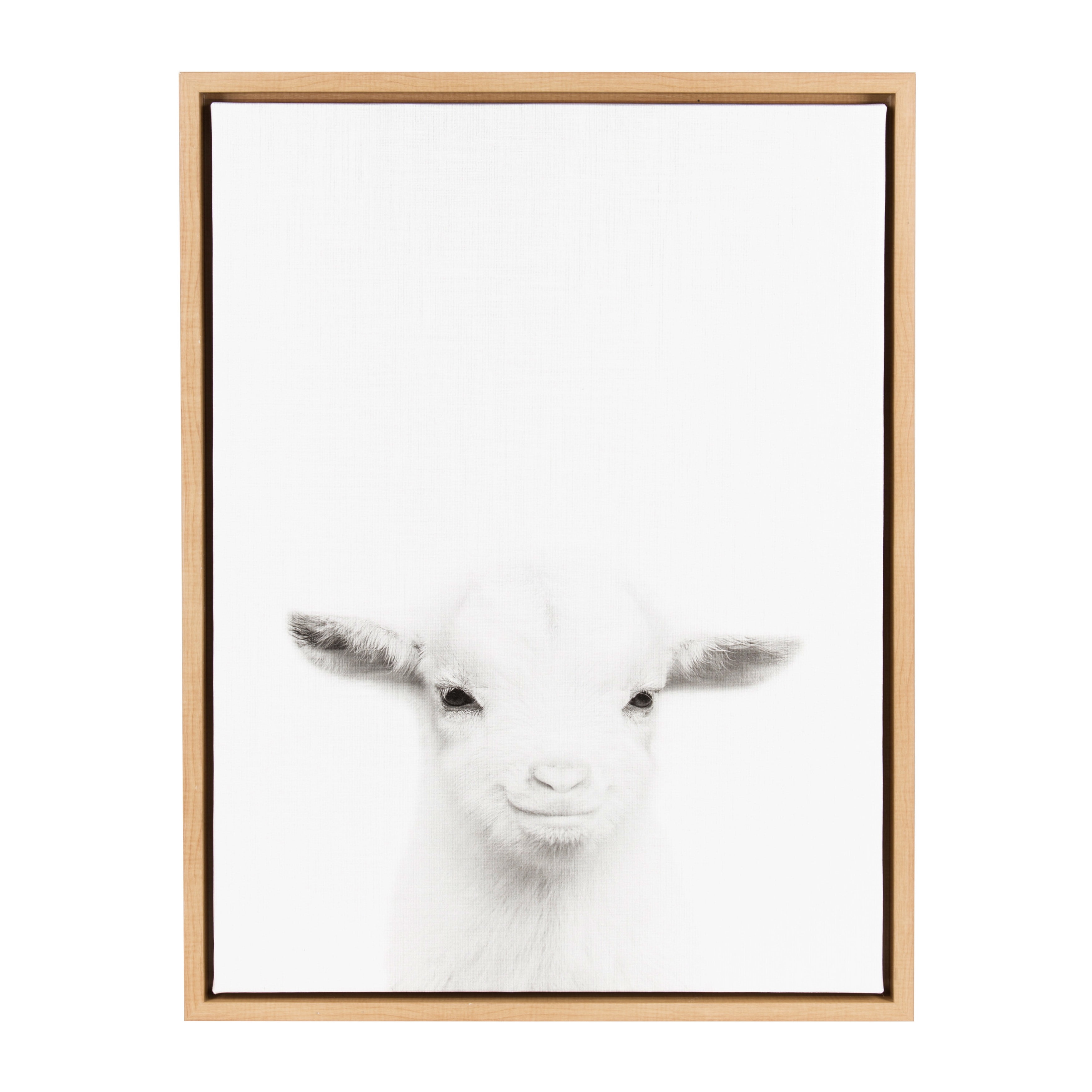 Natural Framed Black and White Baby Goat Canvas Art