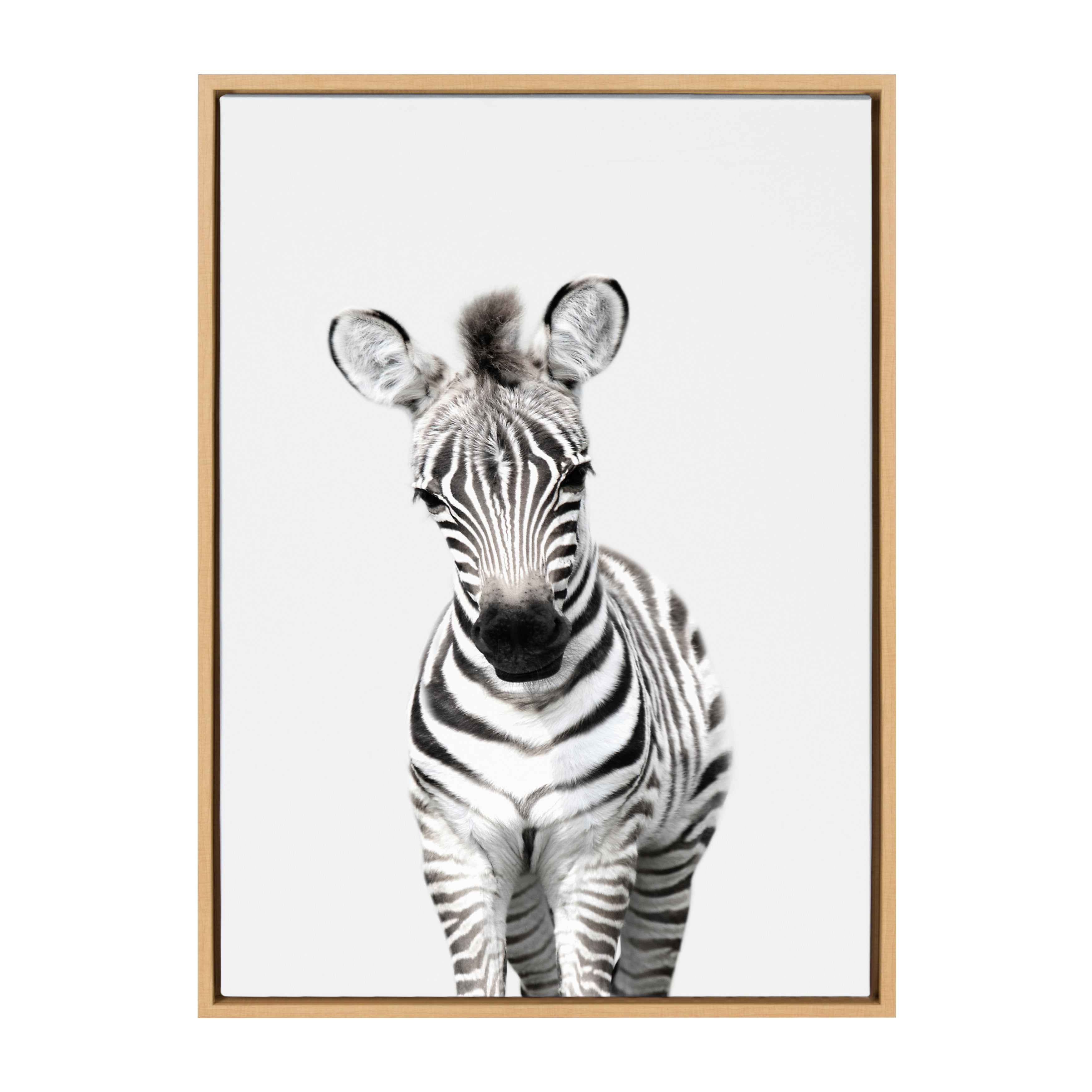 Natural Wood Framed Baby Zebra Canvas Print, 23" x 33"