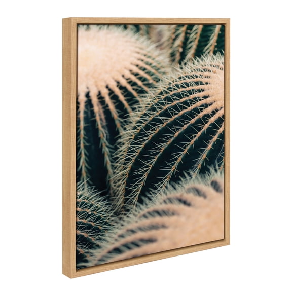 Kate and Laurel Sylvie Barrel Cactus Framed Canvas Wall Art by Alicia Bock, 18x24 Natural, Desert Cactus Photography Art for Wall