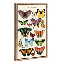 Kate and Laurel Sylvie Beaded Butterflies Vintage Framed Canvas Wall Art by Tània García, 18x24 Gold, Colorful Butterfly Poster Art for Wall
