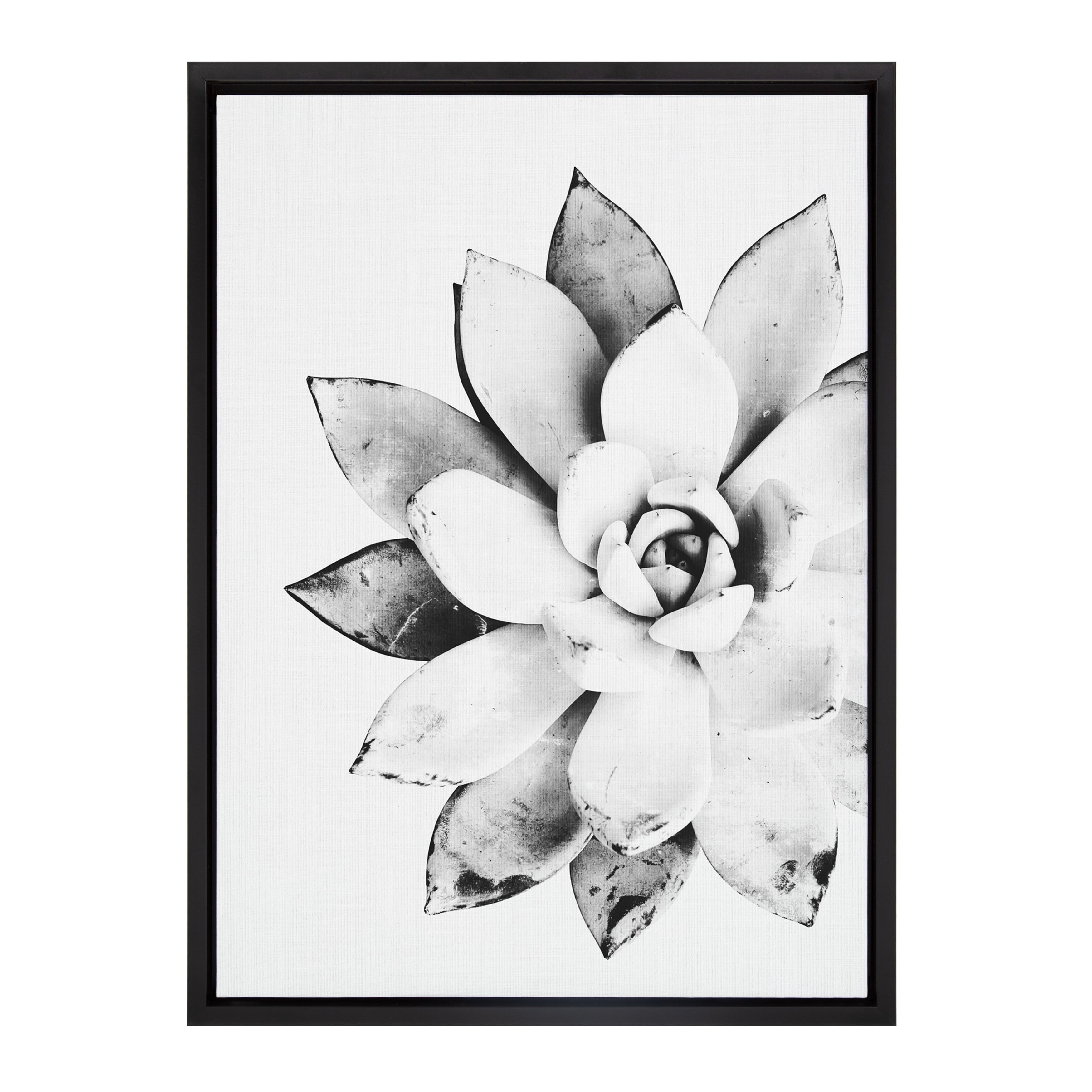 Kate and Laurel Sylvie Black and White Modern Succulent Print Framed Canvas  Wall Art by Simon Te Tai, 18x24 Black