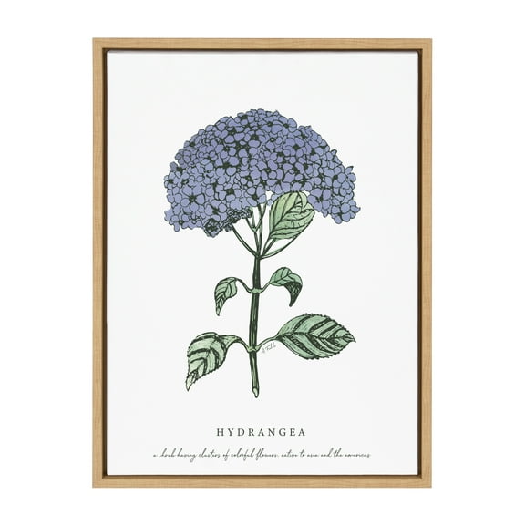 Kate and Laurel Sylvie Blooming Hydrangea Framed Canvas Wall Art by Statement Goods, 18x24 Natural, Decorative Floral Art Print for Wall