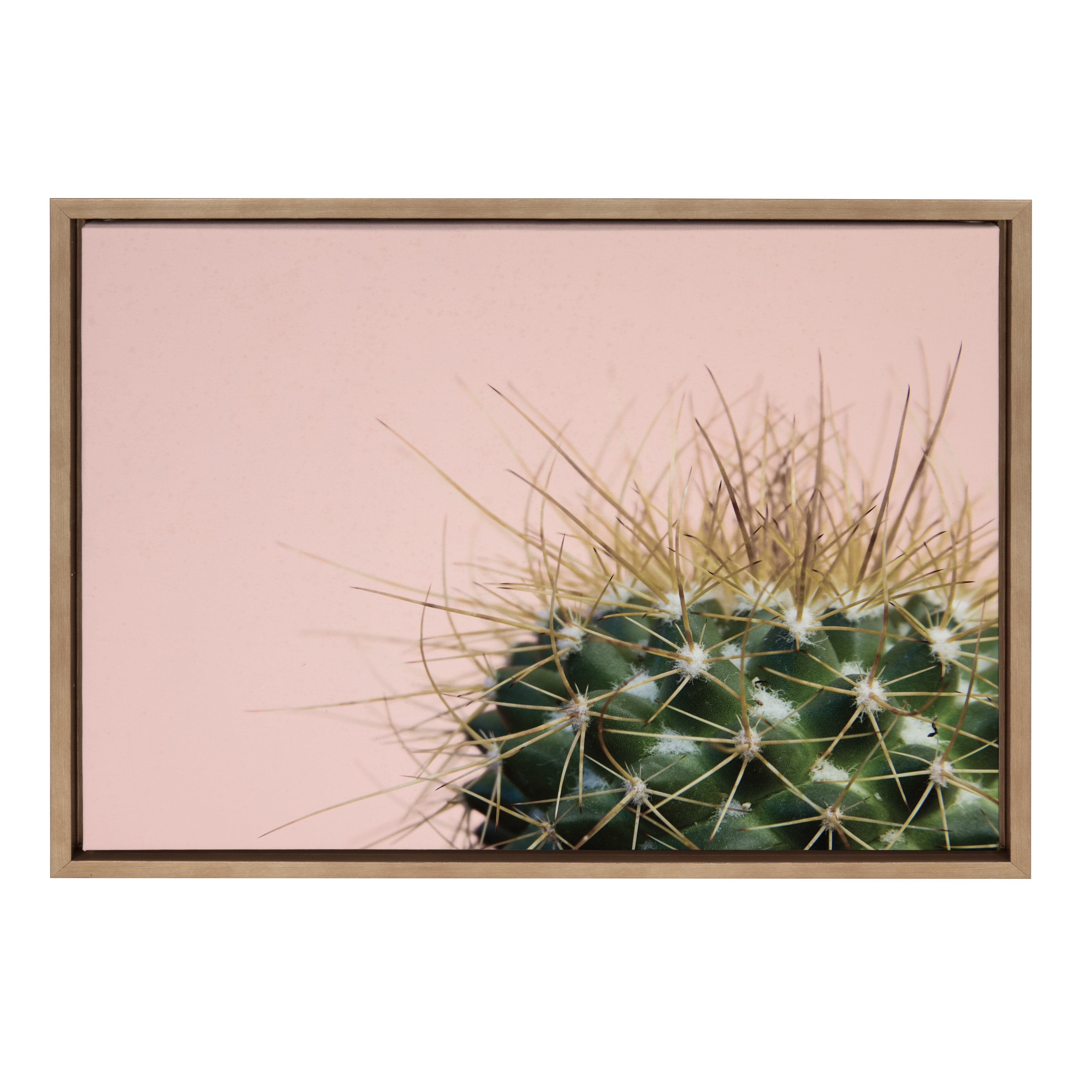 Gold Framed Cactus Print on Canvas Wall Art, 18x24