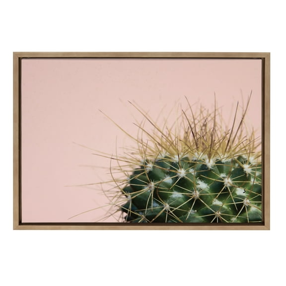 Kate and Laurel Sylvie Botanical, Cactus, Color Photograph, Framed Canvas Wall Art by F2 Images, 18x24 Gold