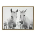 thumbnail image 1 of Kate and Laurel Sylvie Camargue Horse XVII BW Framed Canvas Wall Art by Laura Evans, 28x38 Natural, Decorative Animal Art for Wall, 1 of 6