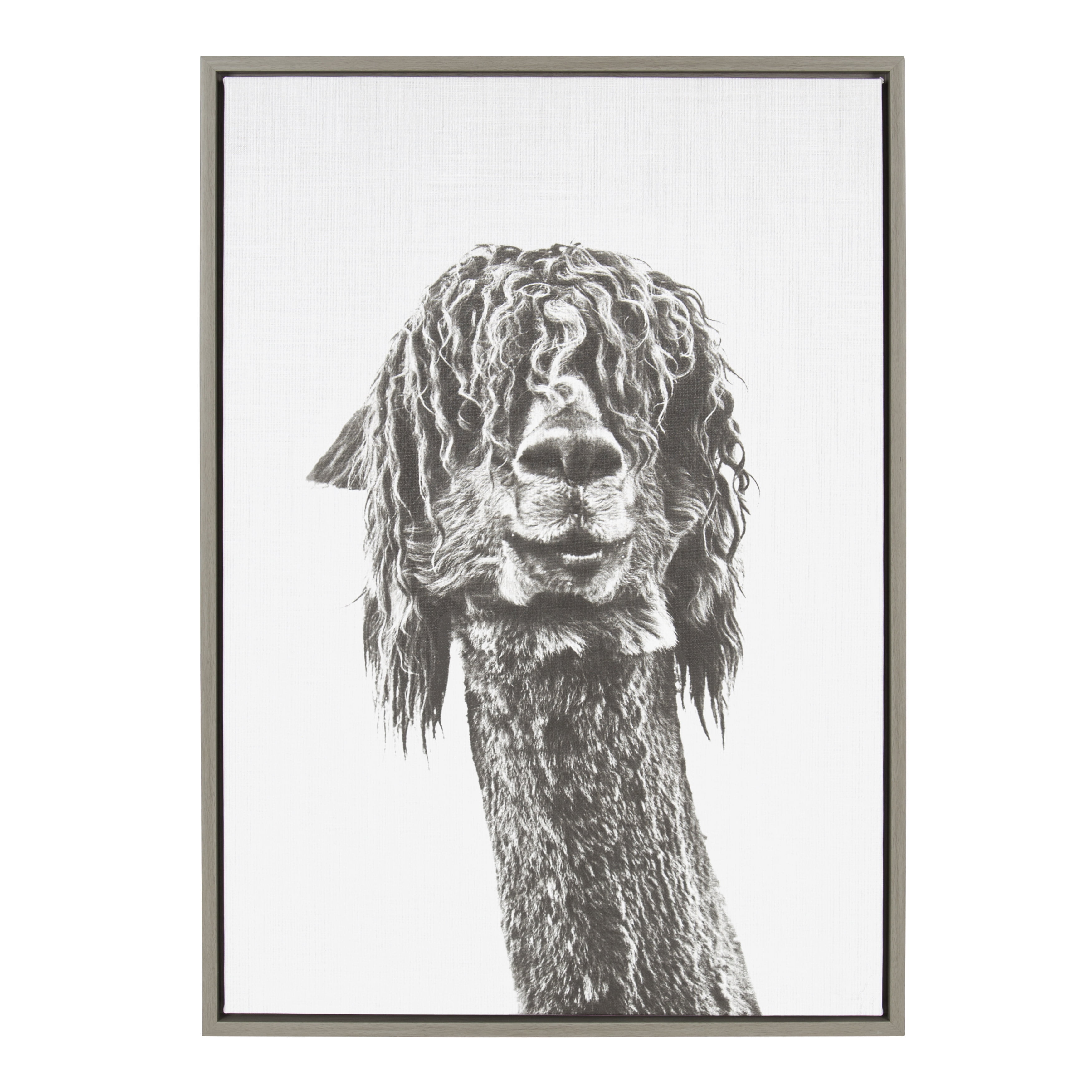 Kate and Laurel Sylvie Curly Hair Alpaca Black and White Animal Portrait Framed Canvas Wall Art, 23x33 Gray