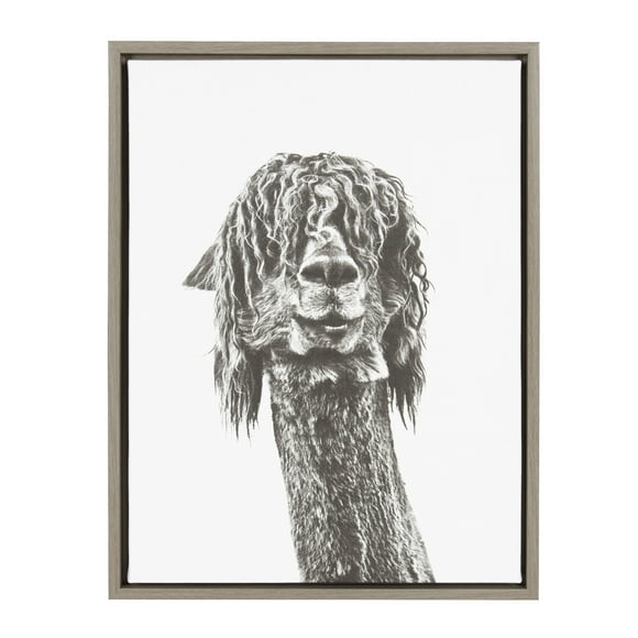 Kate and Laurel Sylvie Curly Hair Alpaca Portrait Framed Canvas Wall Art by Simon Te Tai, 18x24 Gray