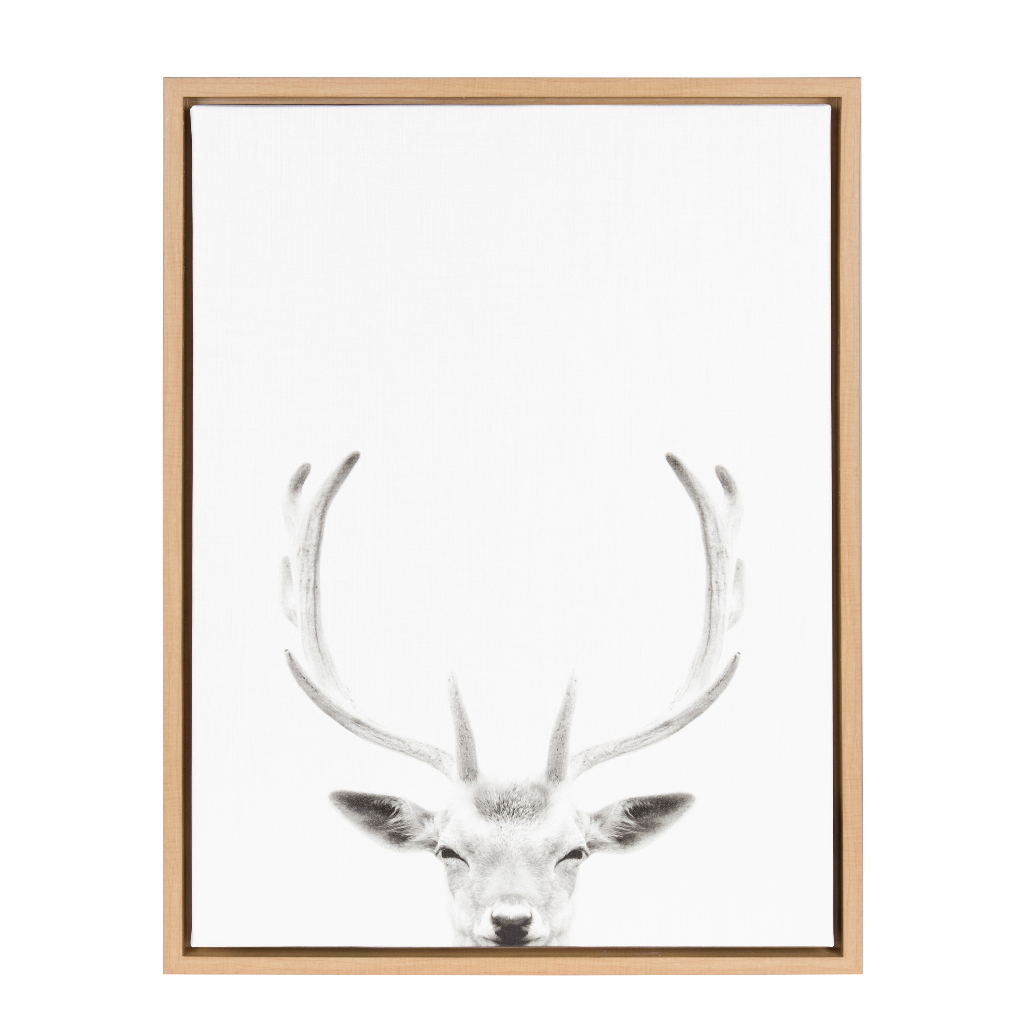 Black and White Deer with Antlers Framed Canvas Art