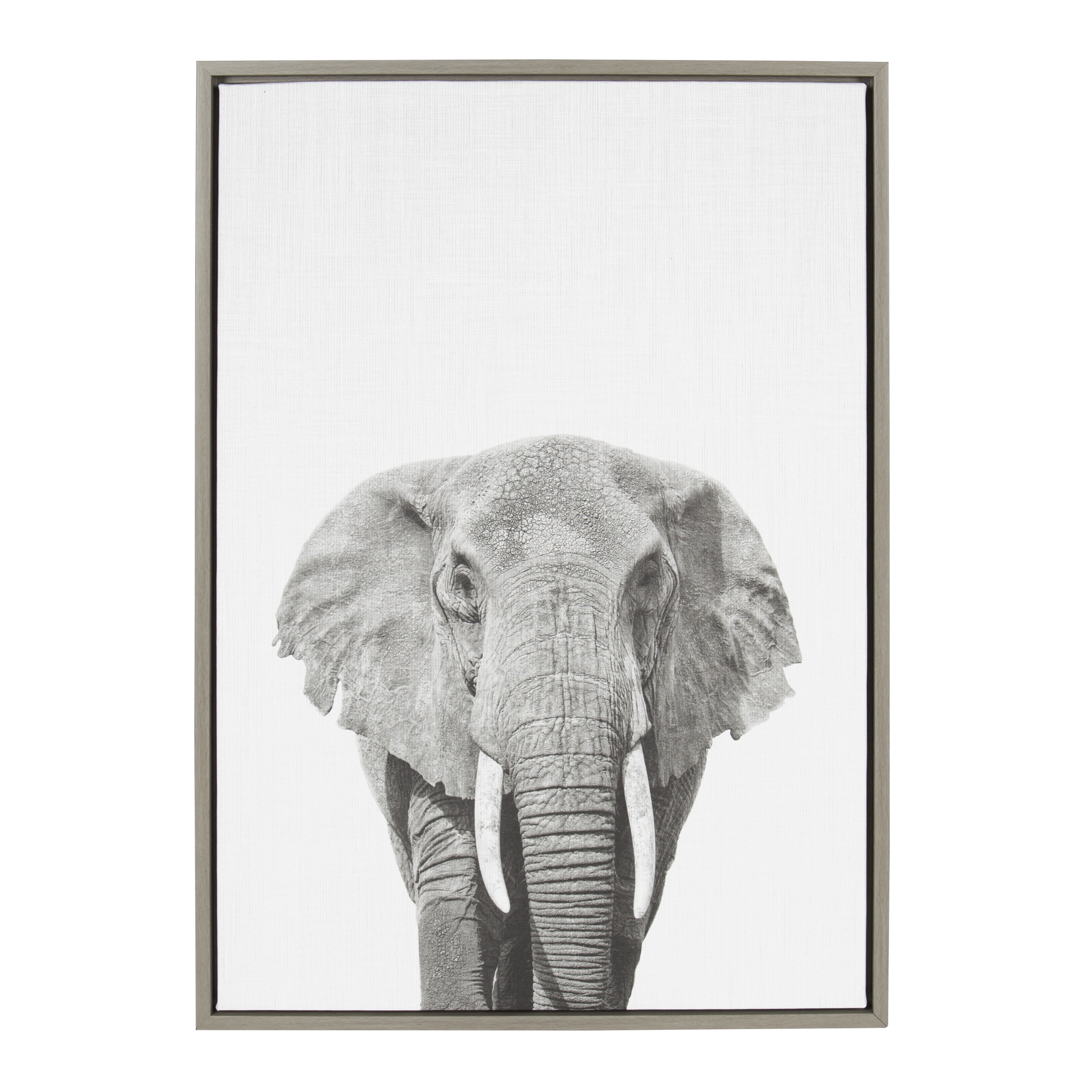 Gray Framed Canvas Elephant Portrait Print, 23x33