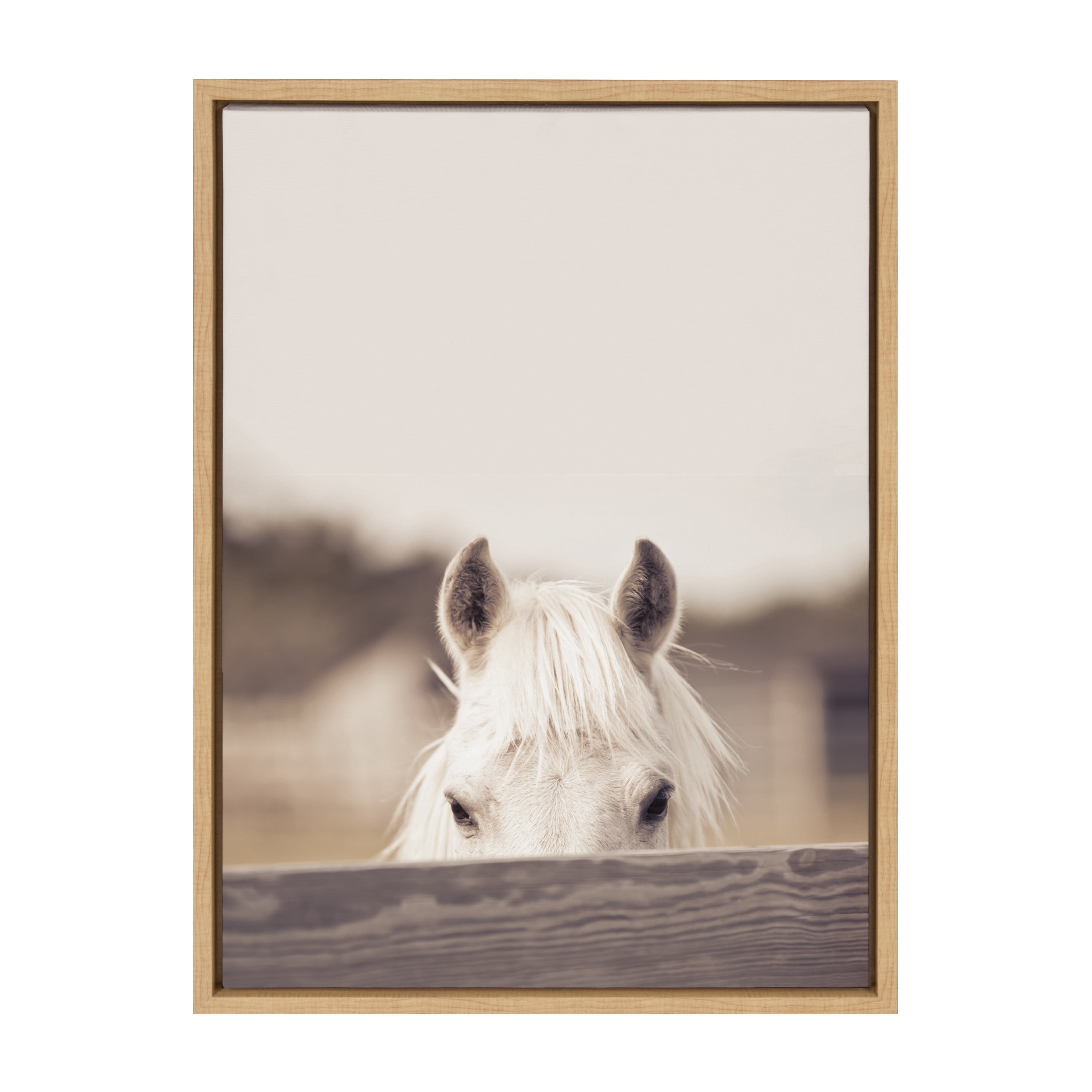 Natural Framed Equine Canvas Print by Robert Cadloff