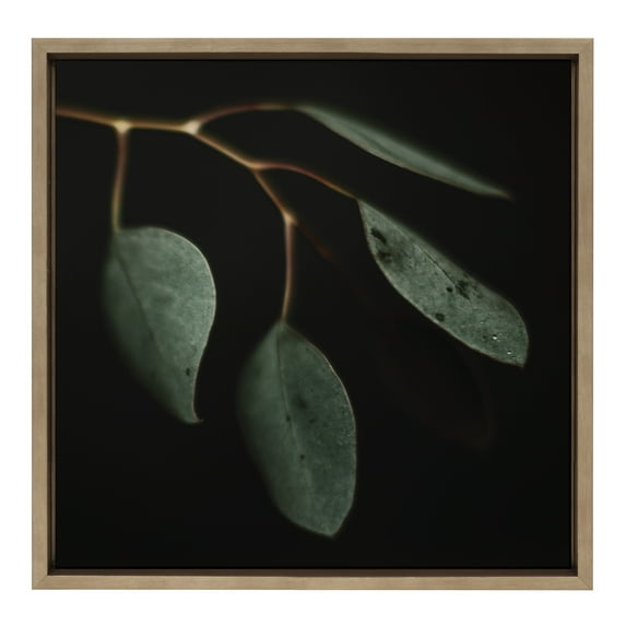 Kate and Laurel Sylvie Eucalyptus Leaves Framed Canvas Wall Art by Alicia Abla, 22x22 Gold, Botanical Nature Art Wall Décor