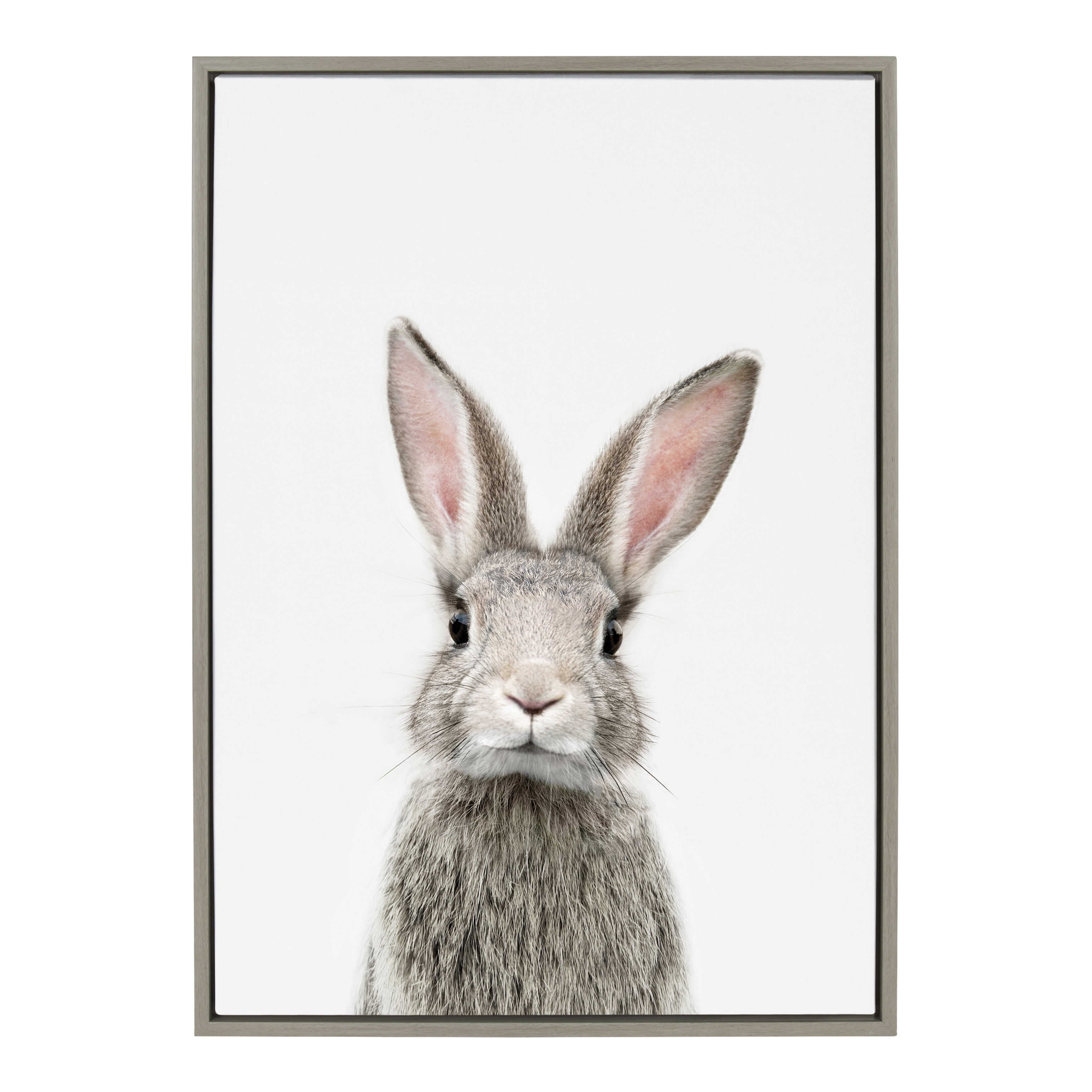 Gray Framed Canvas Print of Young Rabbit, 23" x 33"