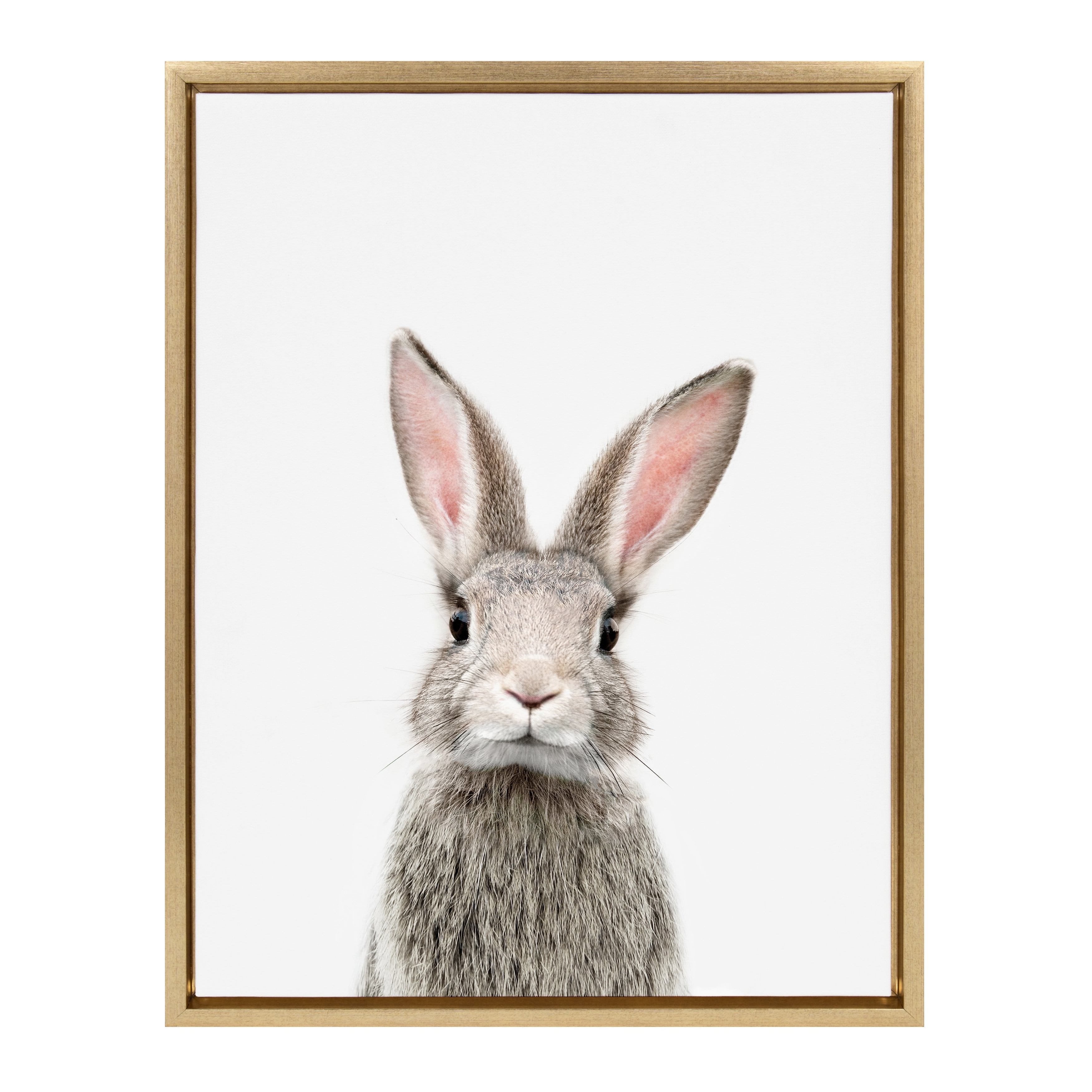 Gold Framed Baby Rabbit Canvas Print for Nursery