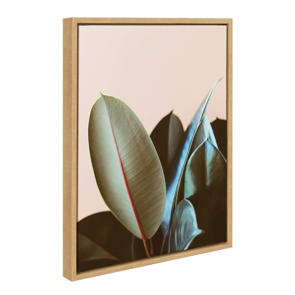 Kate and Laurel Sylvie Ficus Elastica Framed Canvas Wall Art by Alicia Bock, 18x24 Natural, Natural Plant Photography Art for Wall