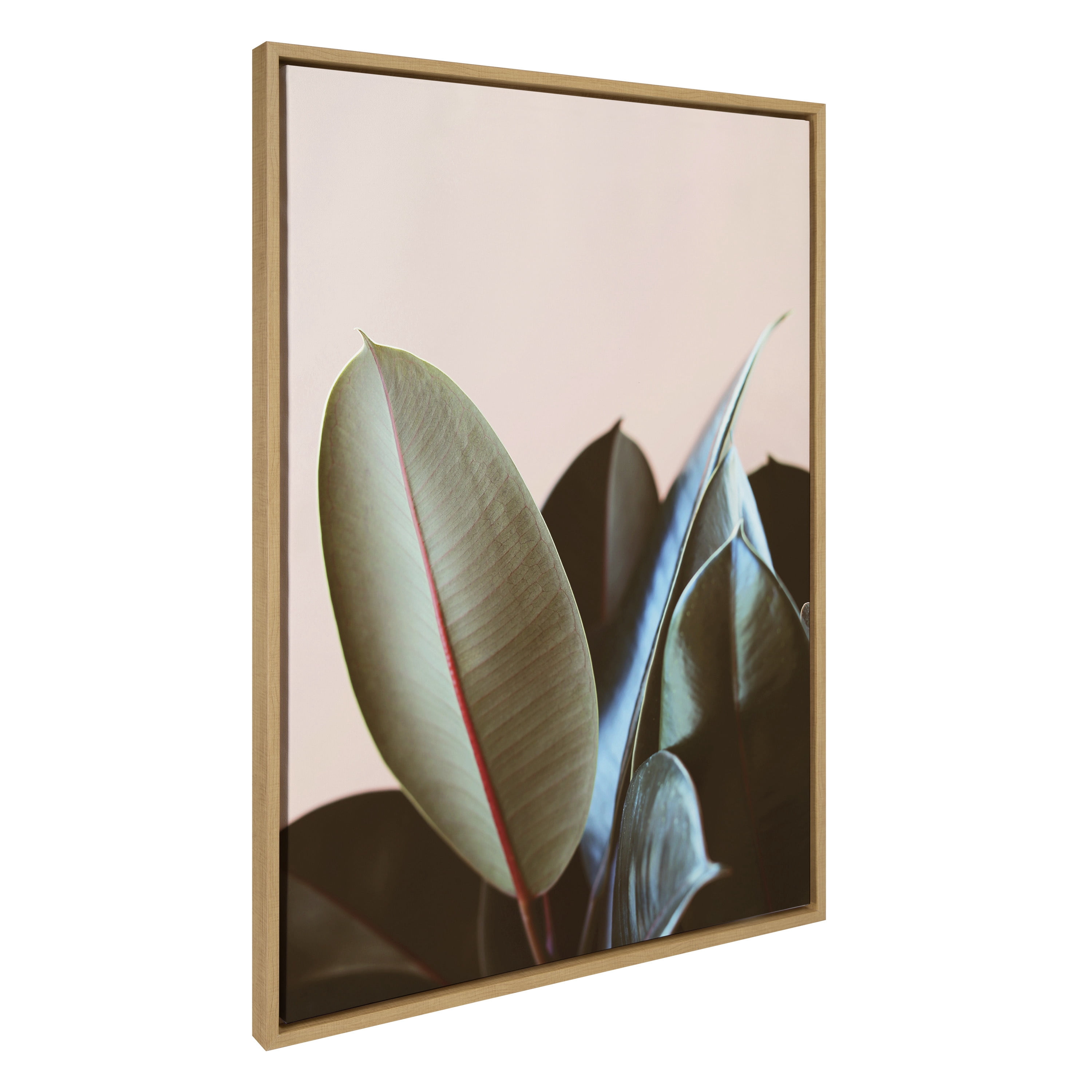 Kate and Laurel Sylvie Ficus Elastica Framed Canvas Wall Art by Alicia ...
