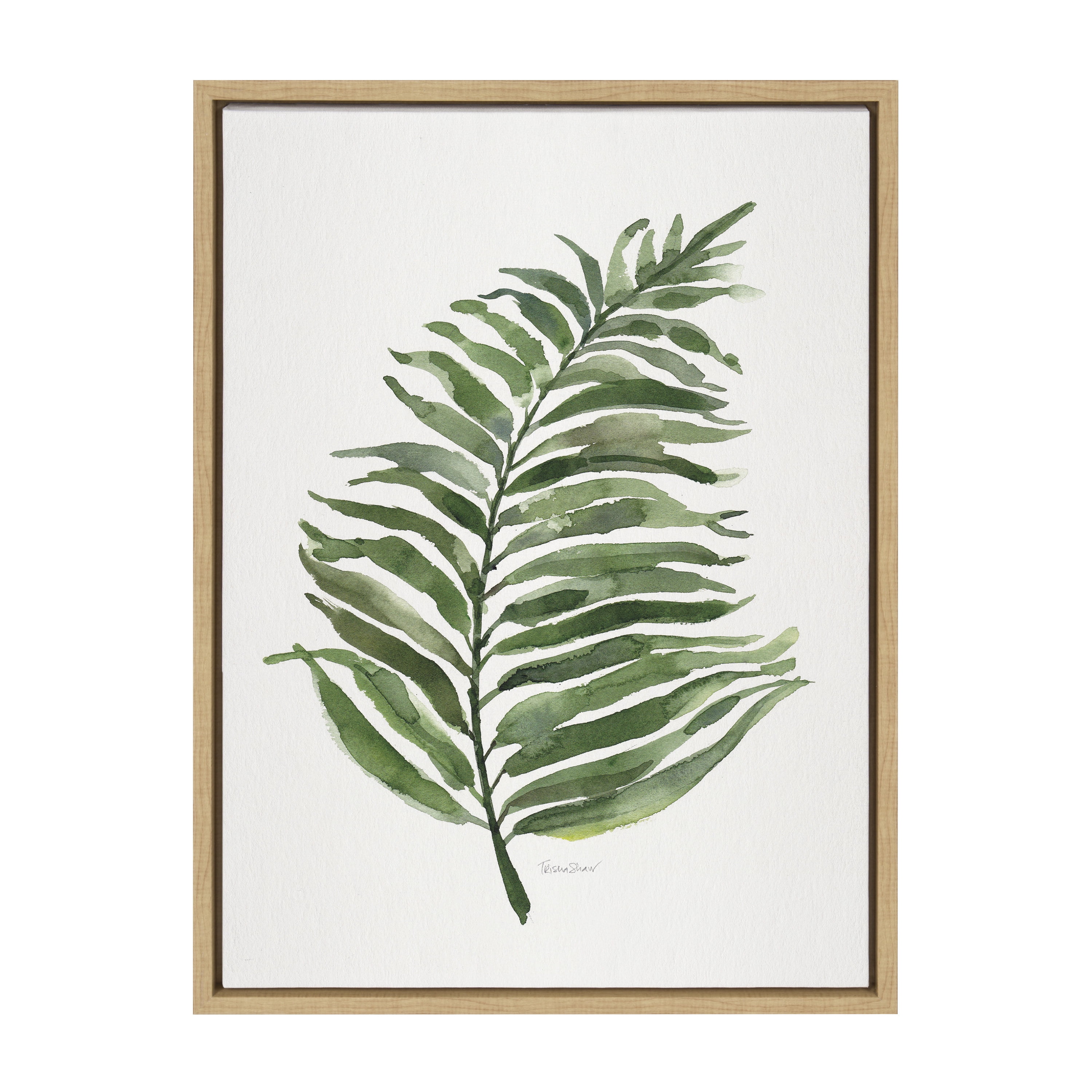 Green Fern Framed Canvas Wall Art by Patricia Shaw