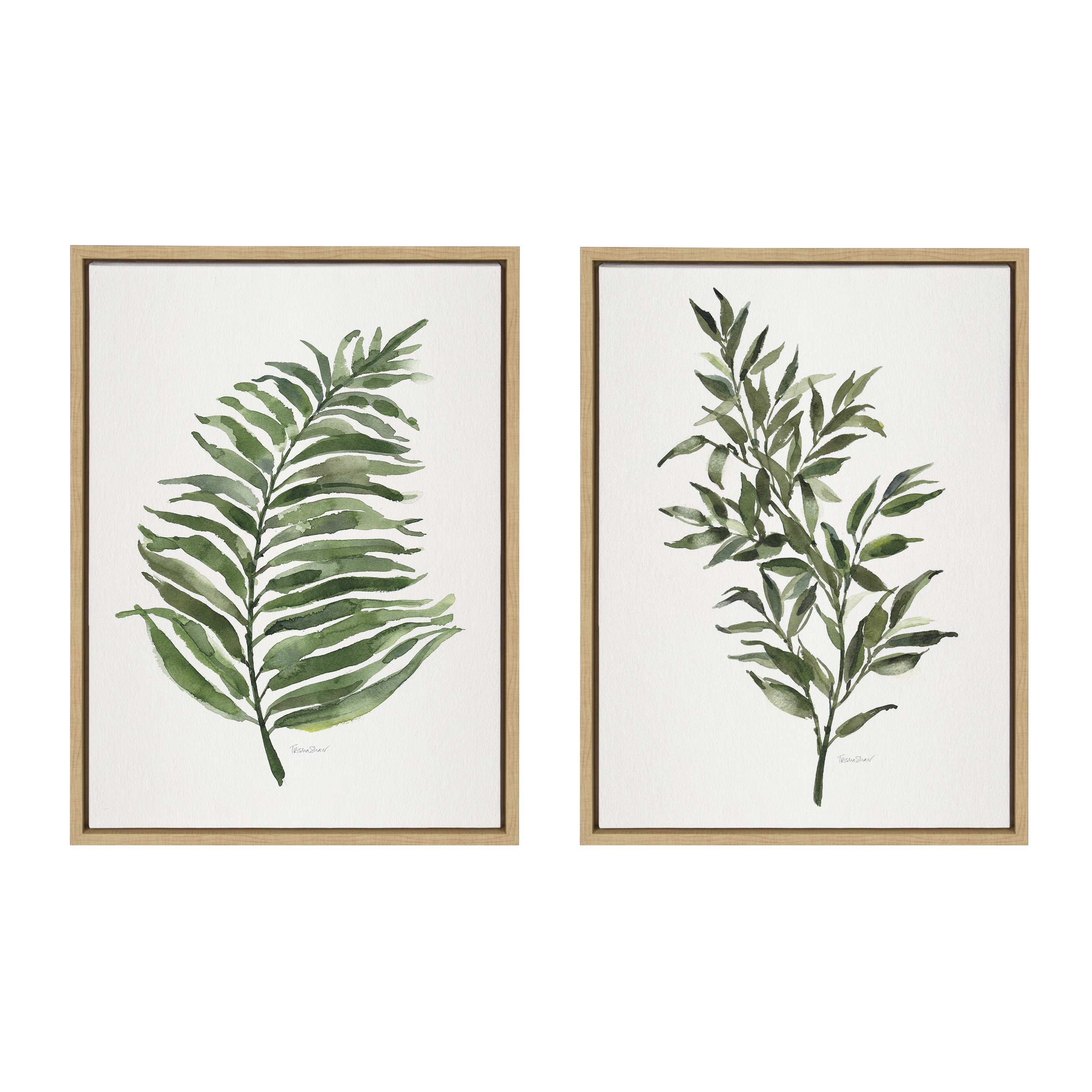 Green Fern and Ruscus Natural Framed Canvas Wall Art Set
