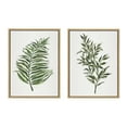 thumbnail image 1 of Kate and Laurel Sylvie Green Fern and Ruscus Framed Canvas Wall Art Set by Patricia Shaw, 2 Piece 18x24 Natural, Natural Plant Leaf Art Set for Wall, 1 of 6