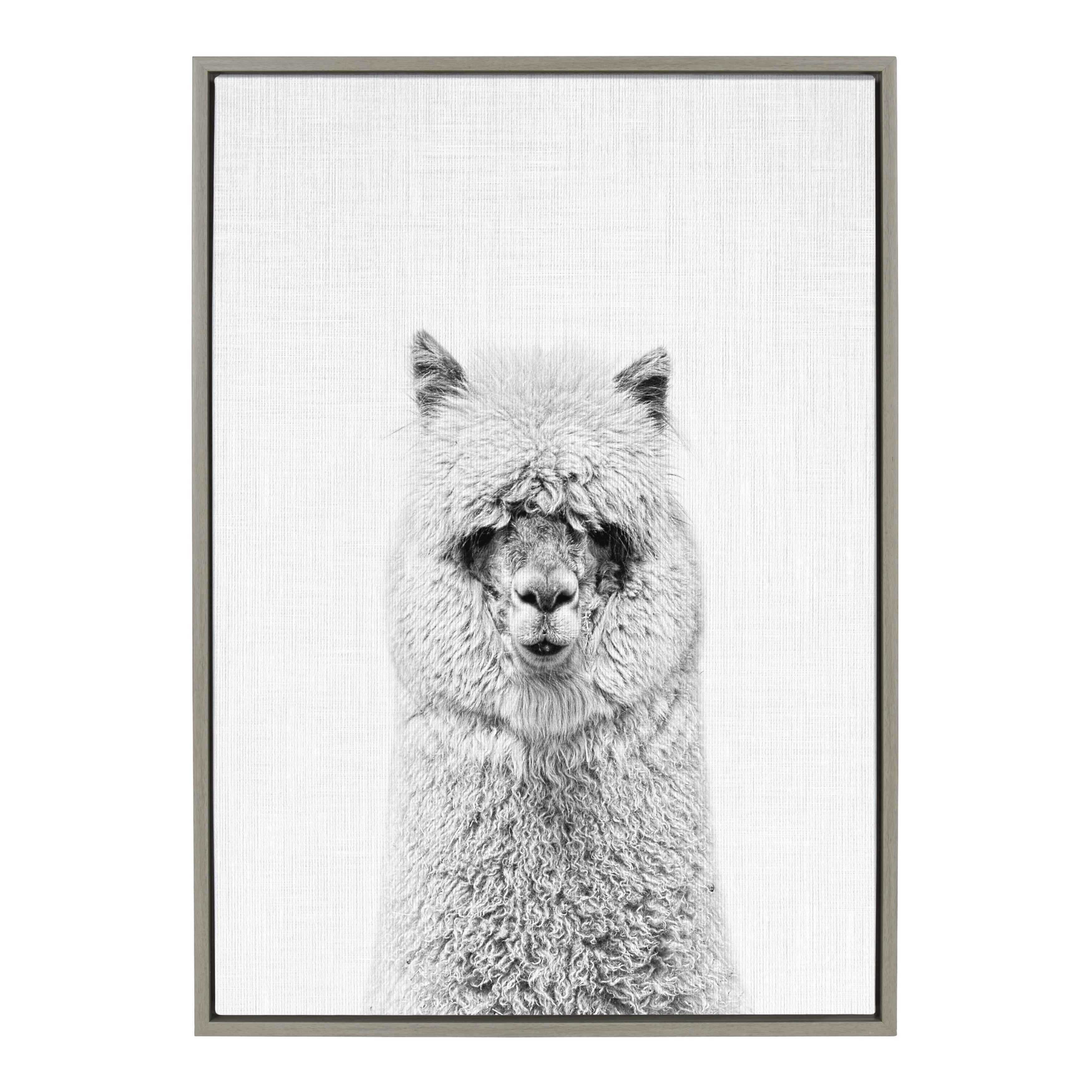 Kate and Laurel Sylvie Hairy Alpaca Black and White Portrait Framed Canvas  Wall Art by Simon Te Tai, 23x33 Gray