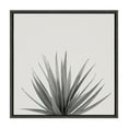 thumbnail image 1 of Kate and Laurel Sylvie Haze Agave Succulent Framed Canvas Wall Art by The Creative Bunch Studio, 22x22 Gray, Decorative Succulent Art for Wall, 1 of 9