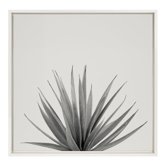 Kate and Laurel Sylvie Haze Agave Succulent Framed Canvas Wall Art by The Creative Bunch Studio, 22x22 White, Decorative Succulent Art for Wall