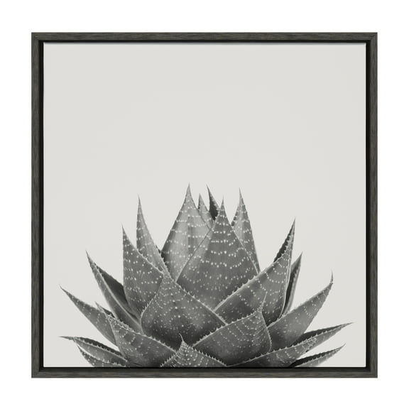 Kate and Laurel Sylvie Haze Aloe Succulent Framed Canvas Wall Art by The Creative Bunch Studio, 22x22 Gray, Decorative Botanical Art Print for Wall