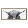 thumbnail image 1 of Kate and Laurel Sylvie Hey Dude Highland Cow Framed Canvas Wall Art by The Creative Bunch Studio, 18x40 Gold, Decorative Farmhouse Wall Décor, 1 of 6