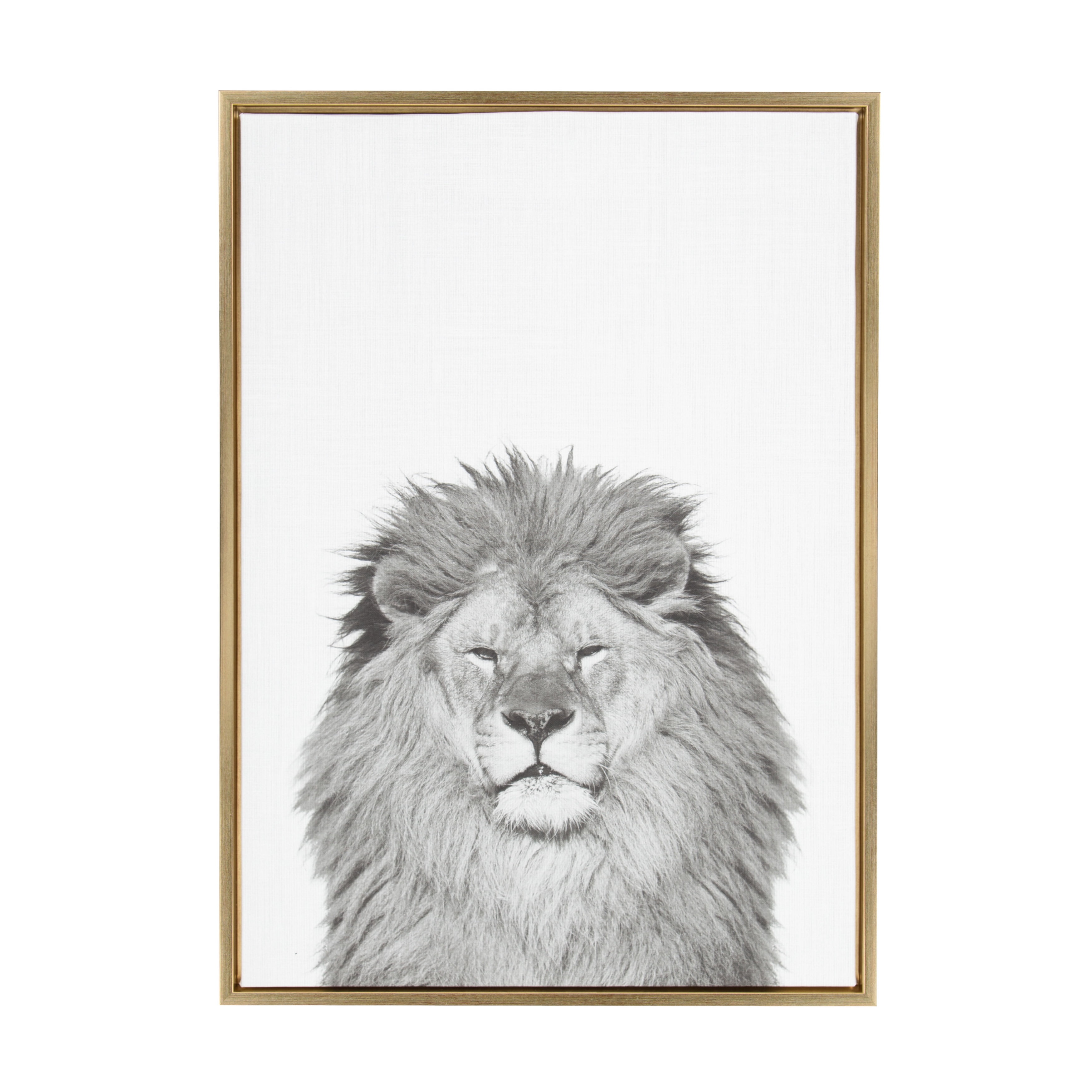 23" x 33" Gold Framed Black and White Lion Canvas Print