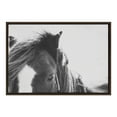 thumbnail image 1 of Kate and Laurel Sylvie Noble Black and White Framed Canvas Wall Art by Alicia Abla, 23x33 Brown, Country Farmhouse Animal Wall Décor, 1 of 6