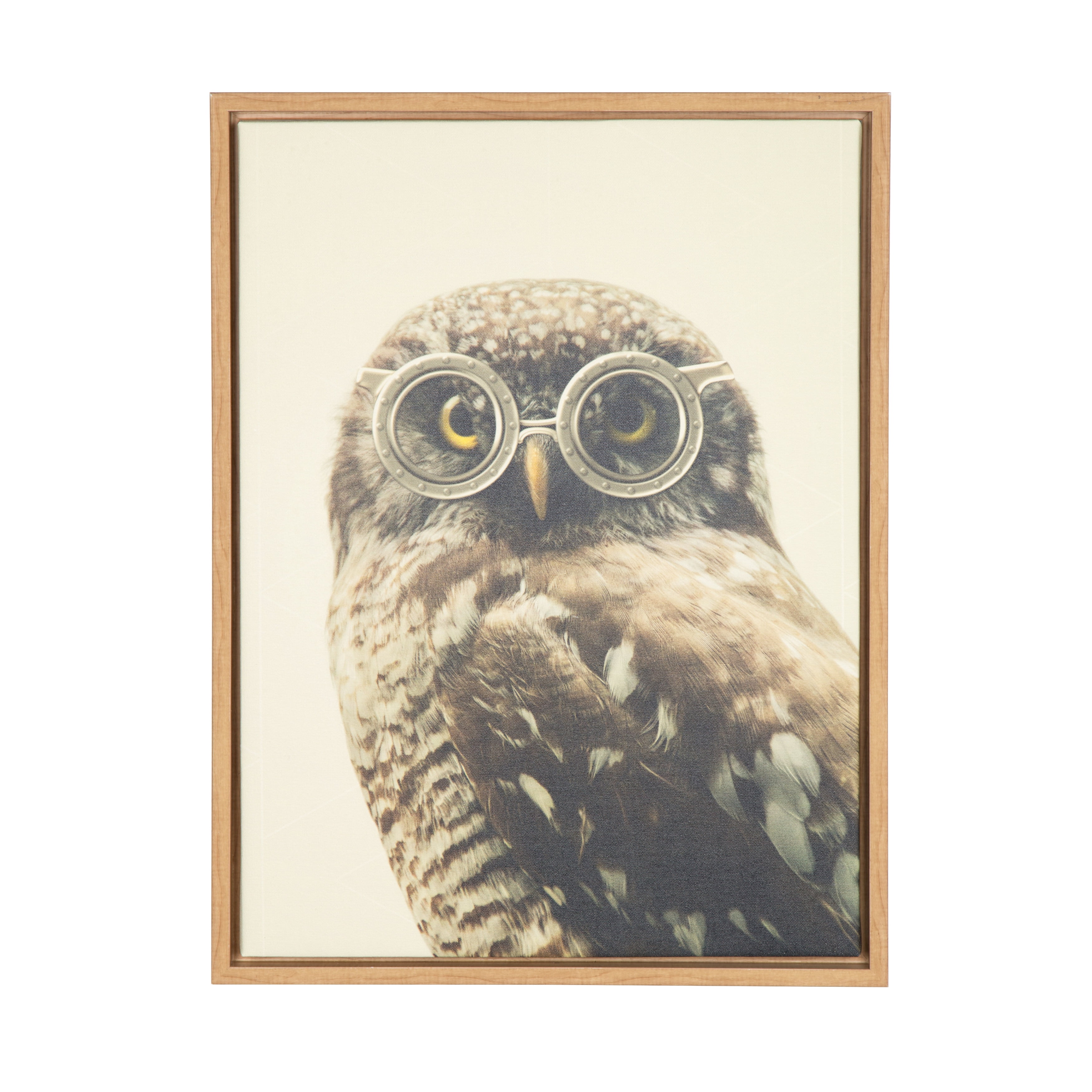 Natural Wood Framed Owl Wearing Glasses Canvas Print, 20x26